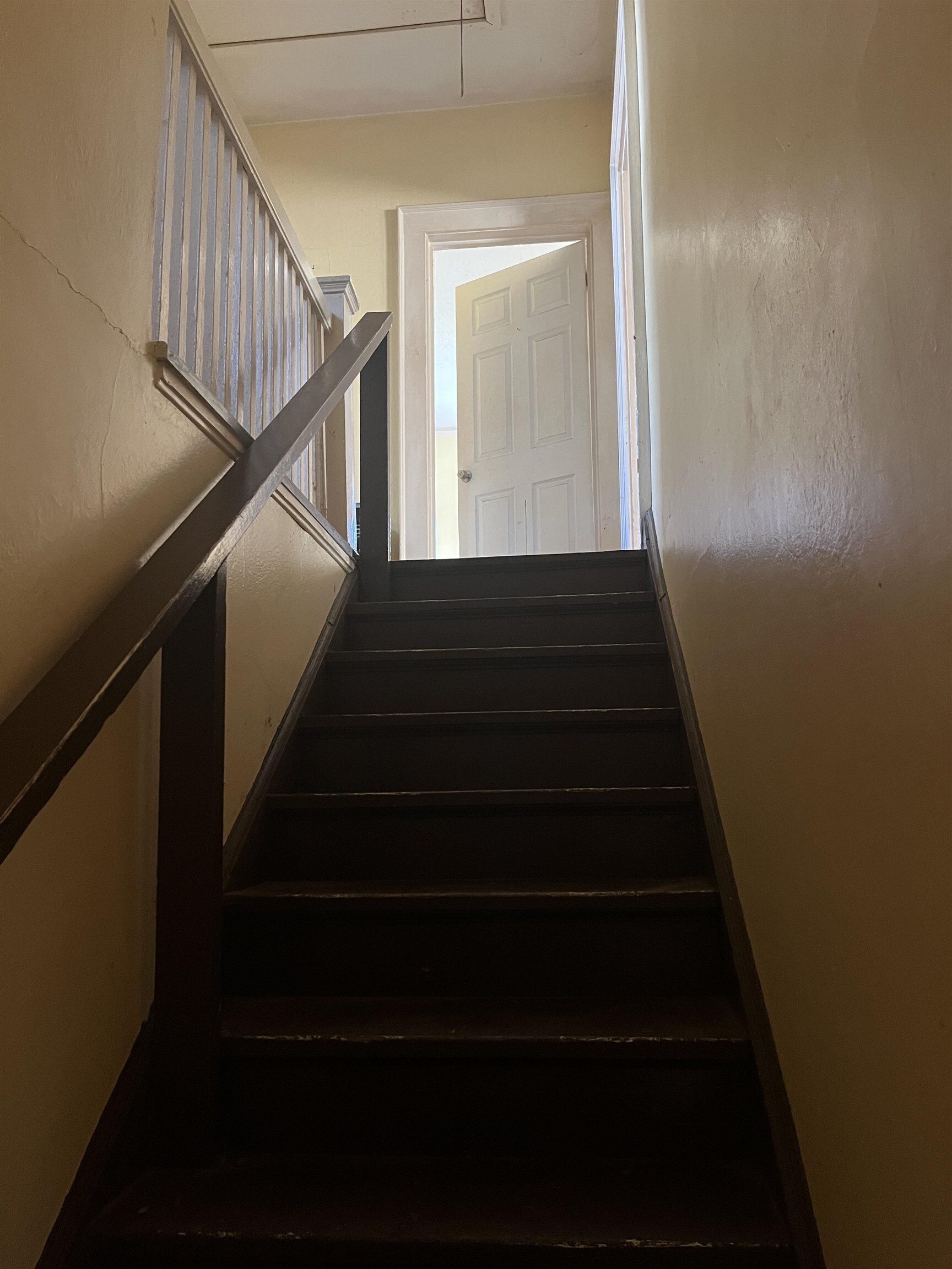 393294 | Photo 17
