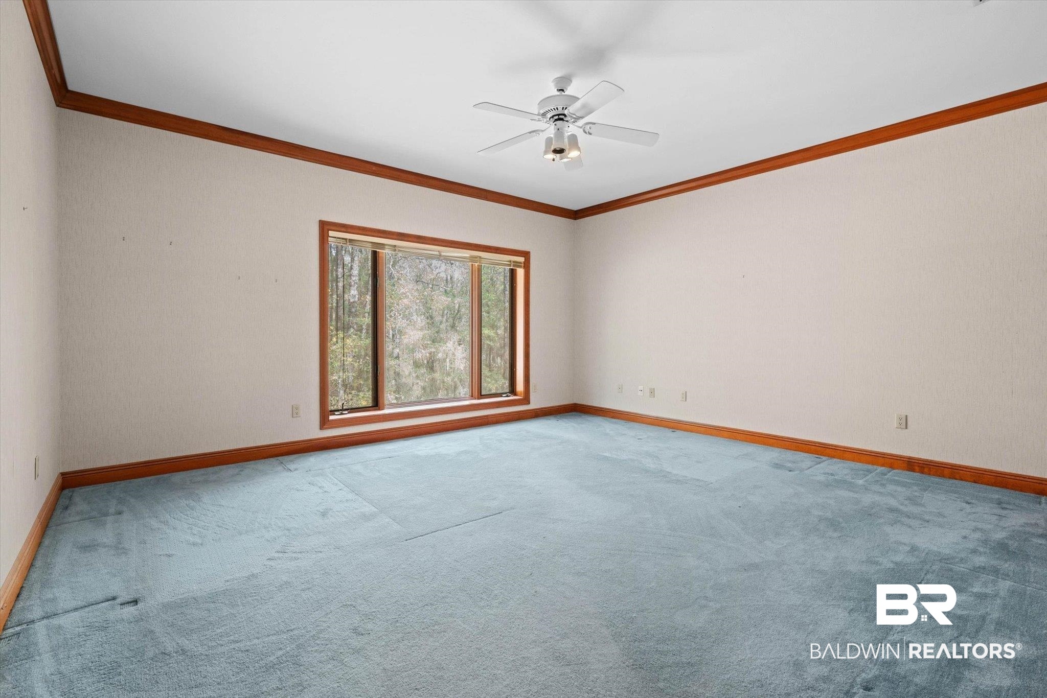 393360 | Photo 21