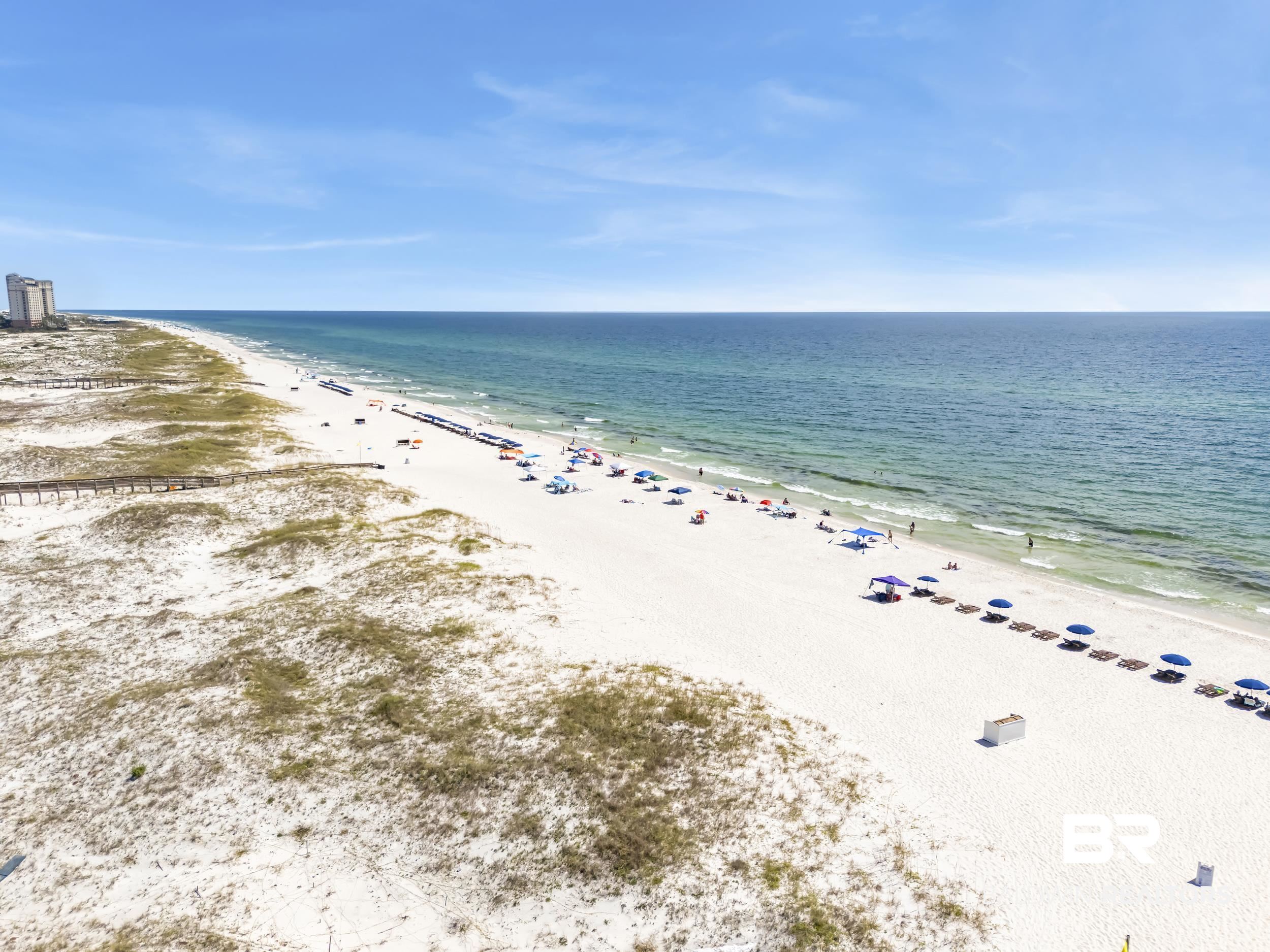 393372 | Photo 45
