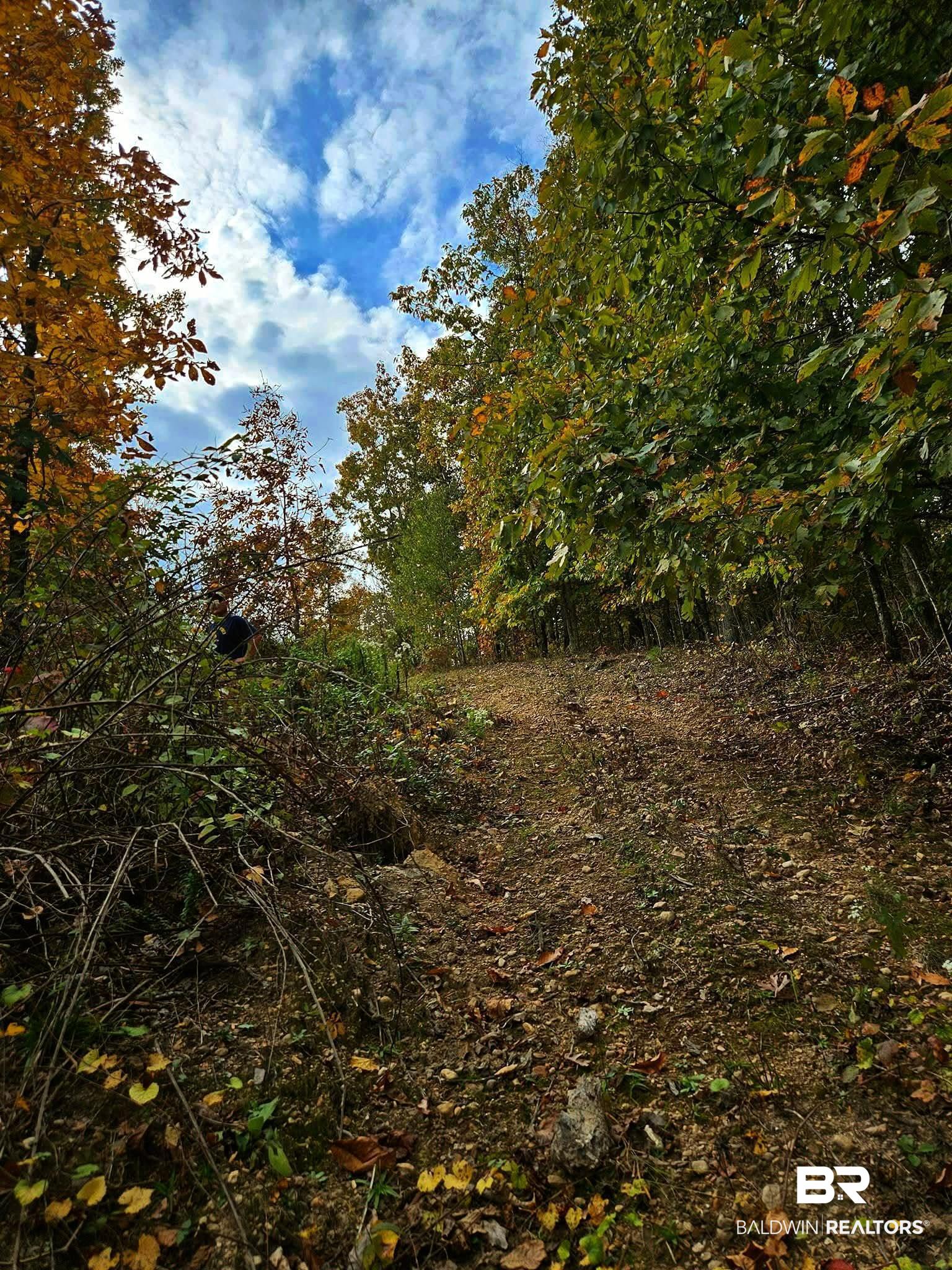 393529 | Photo 26