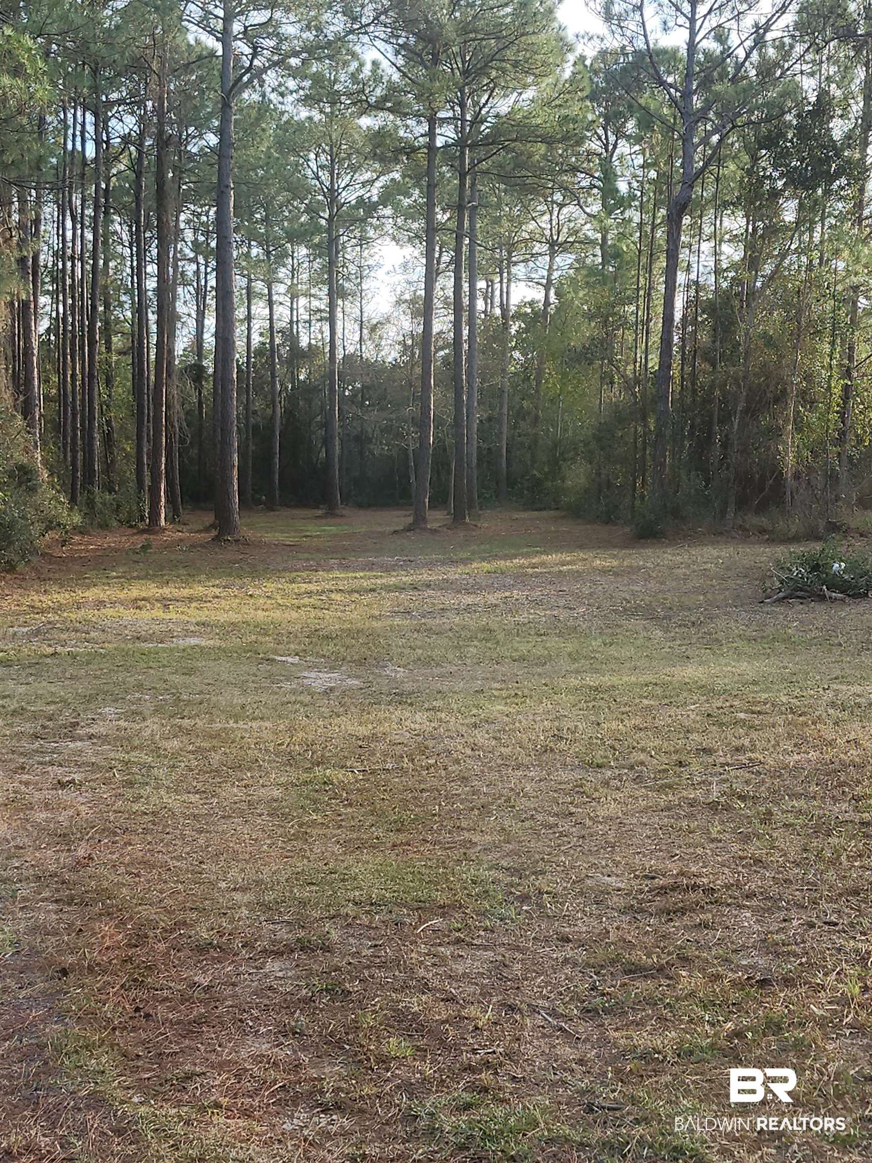 393487 | Photo 2