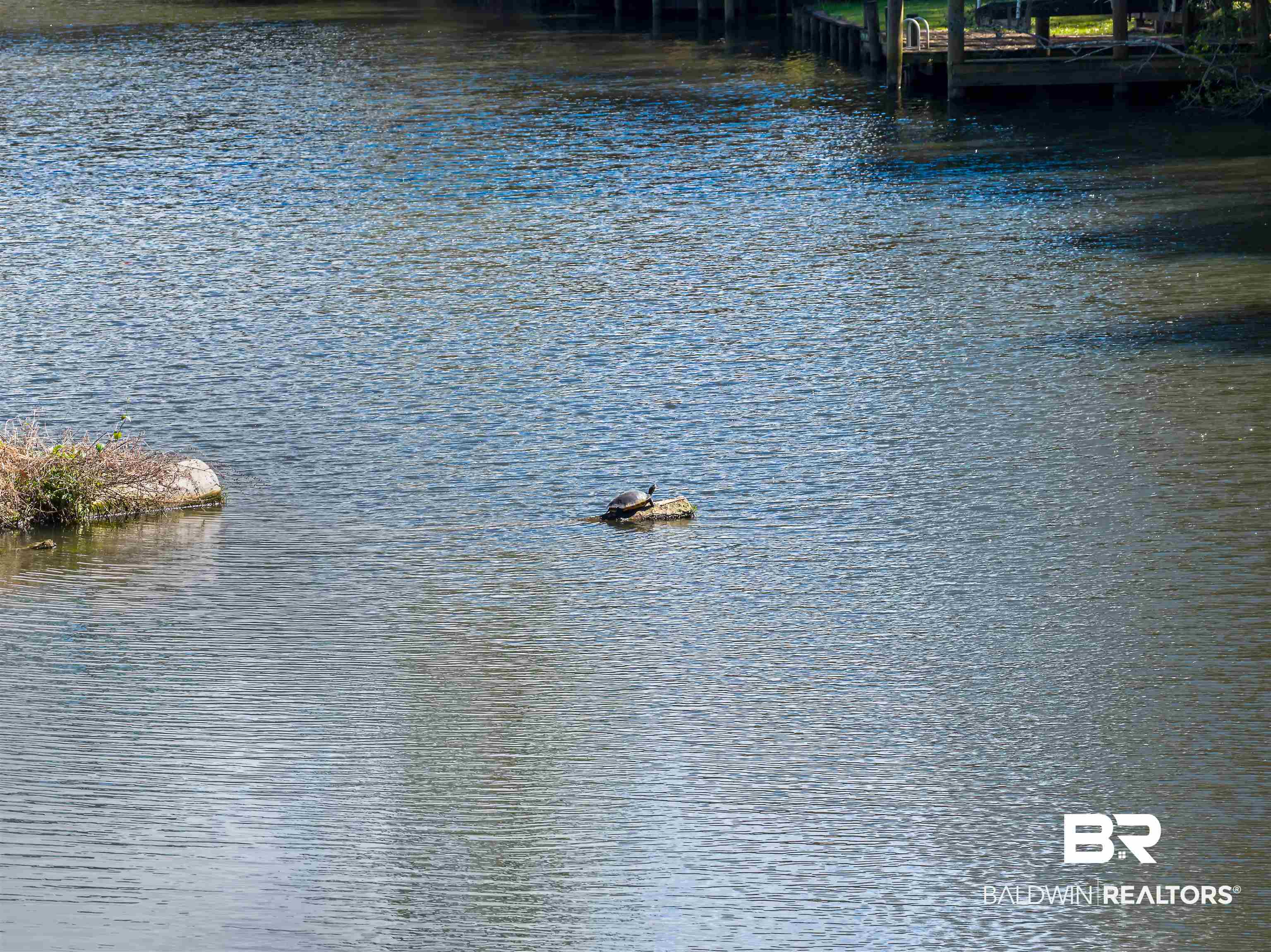 393534 | Photo 92