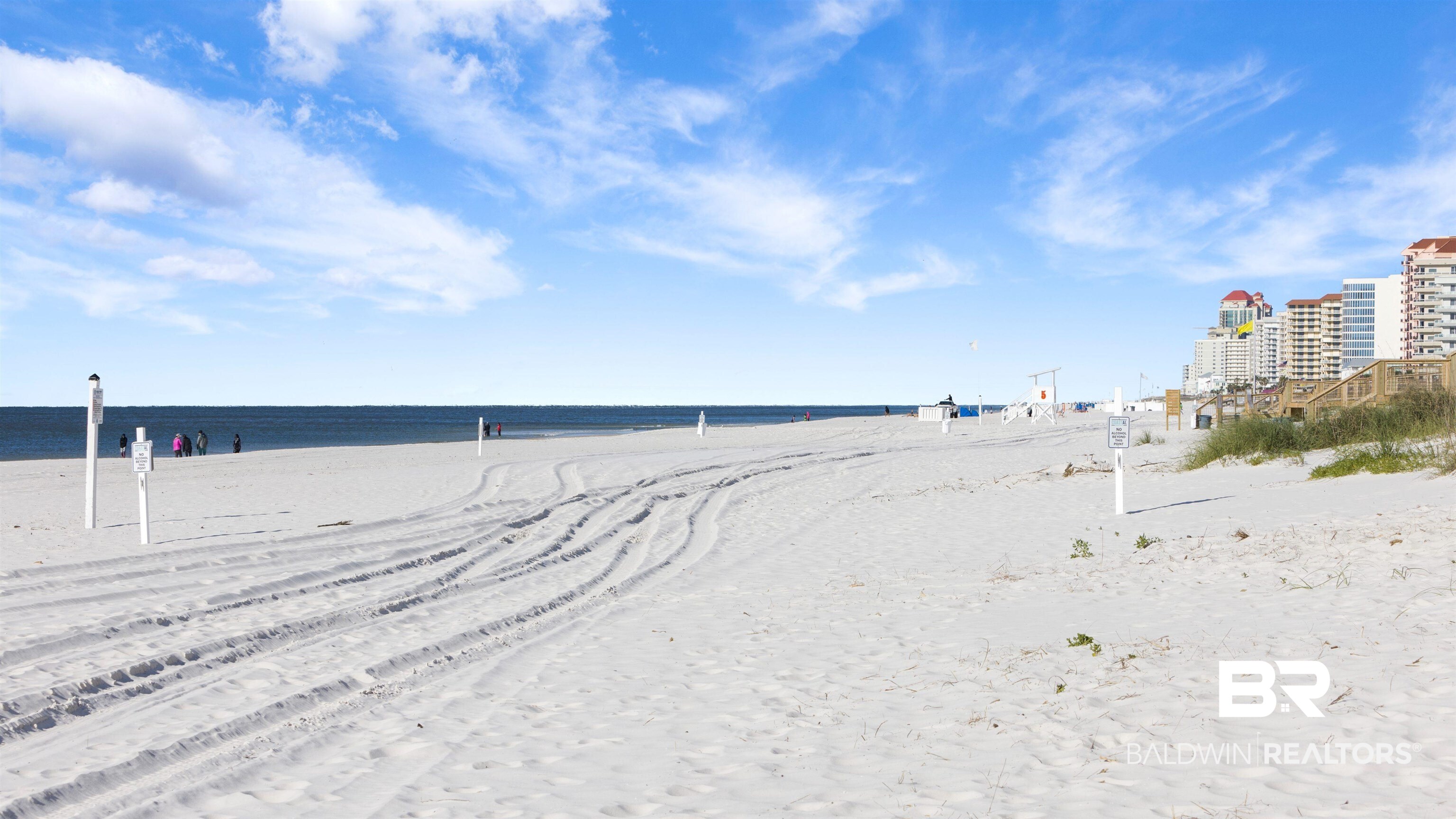 393543 | Photo 69