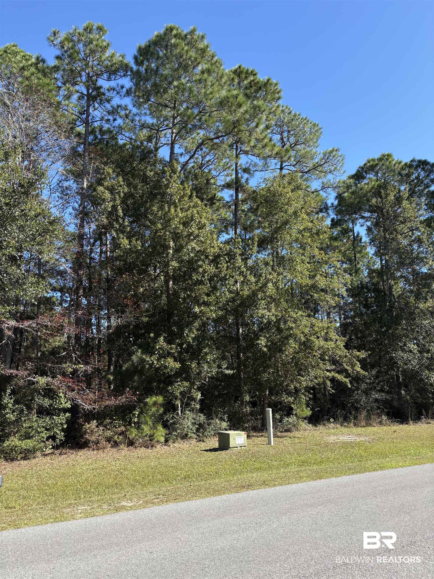Homes for Sale in Martyn Woods - Gulf Shores AL