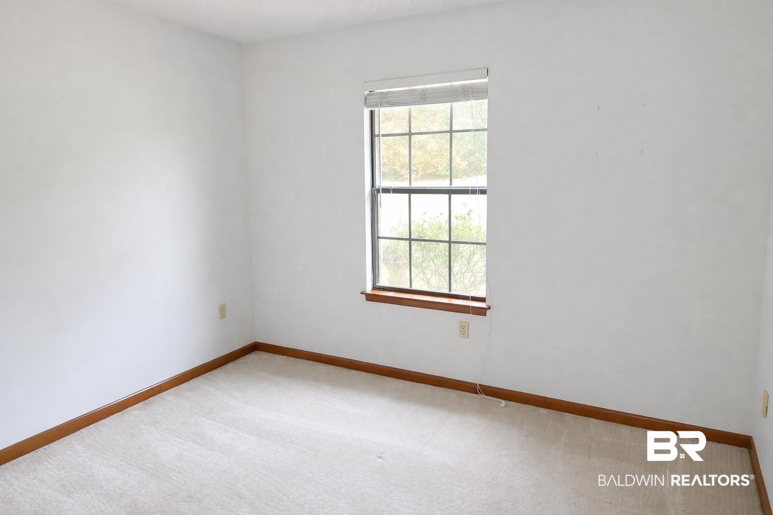 393706 | Photo 21