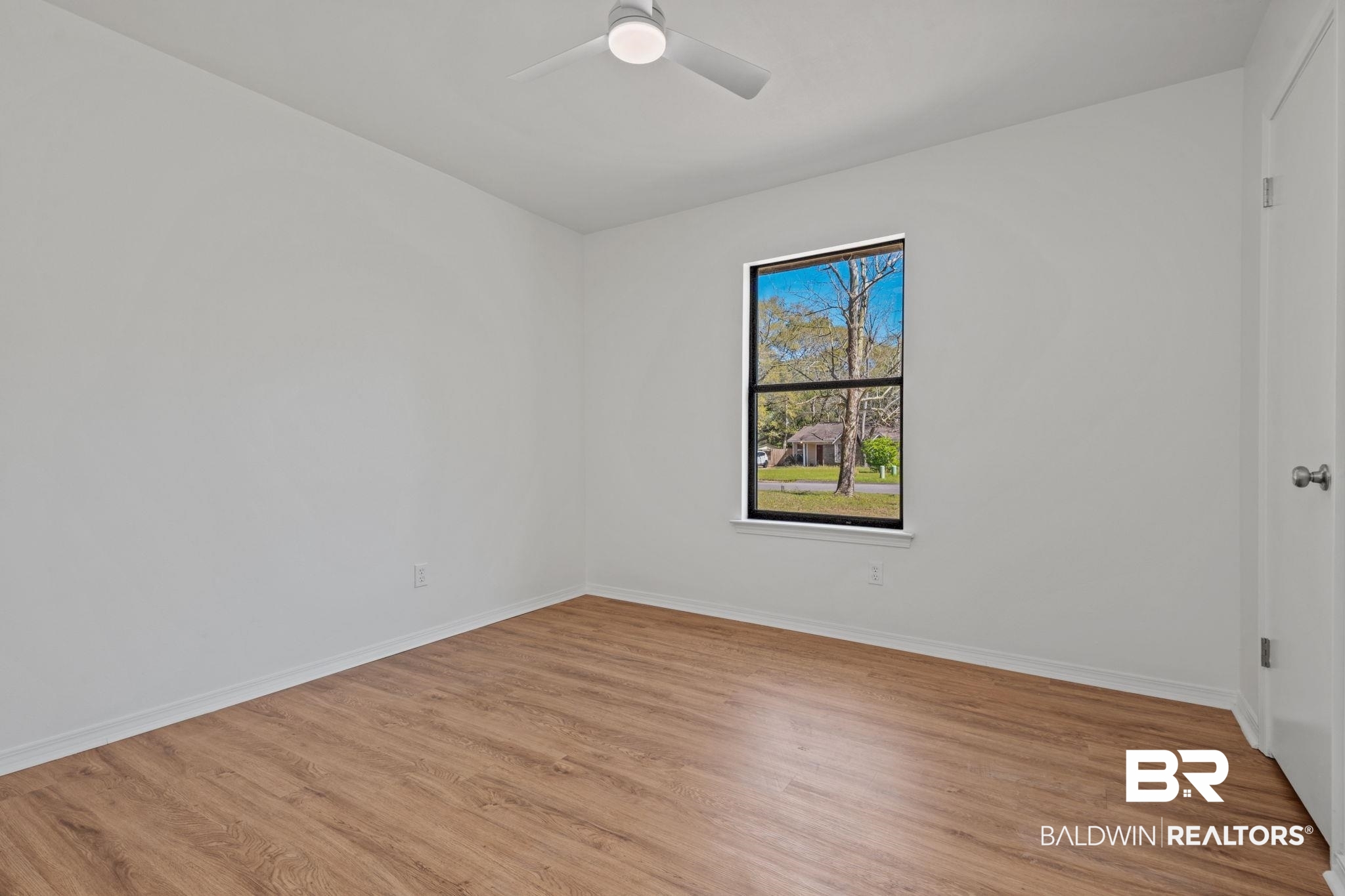 393709 | Photo 12