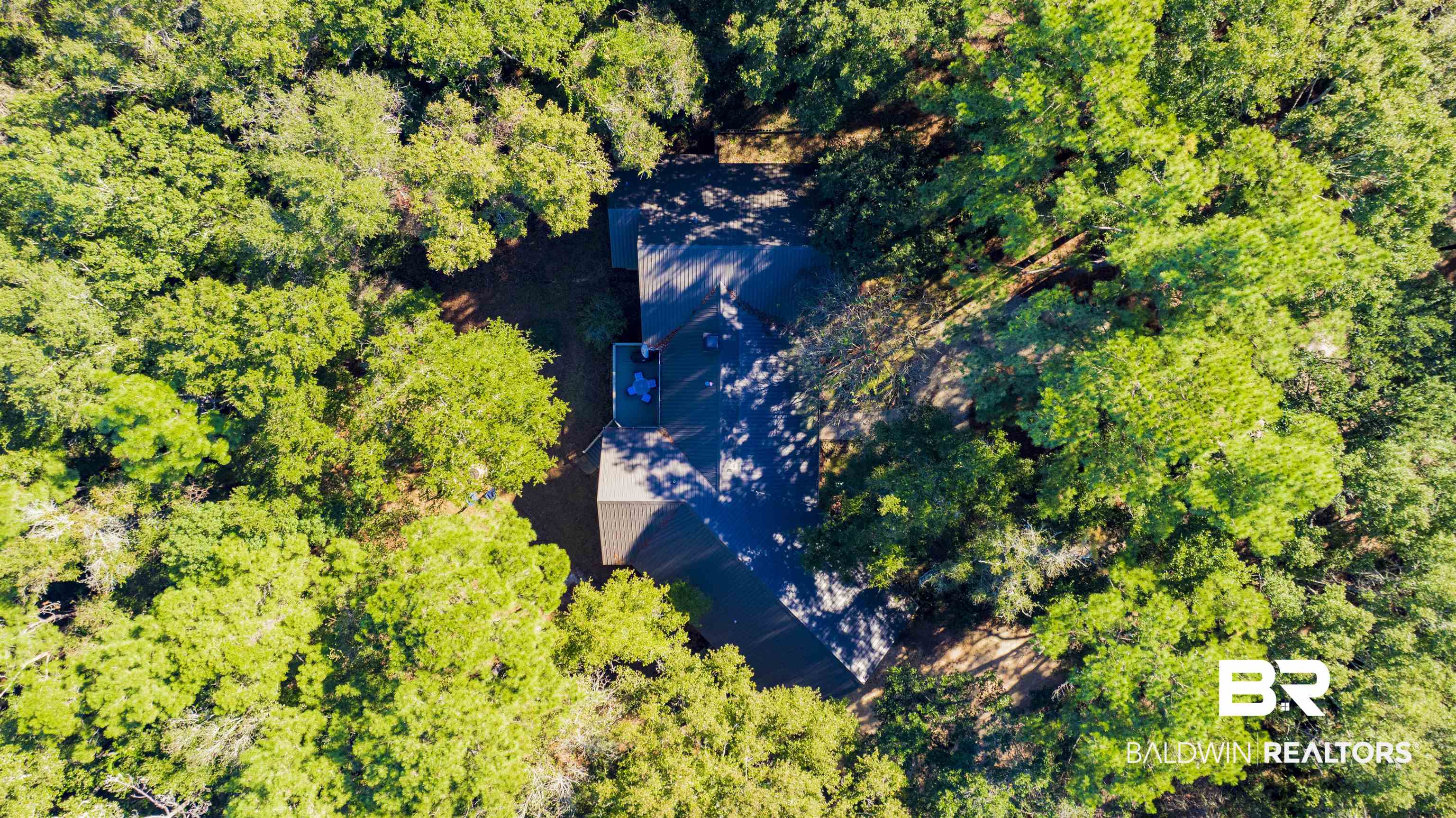 393958 | Photo 48