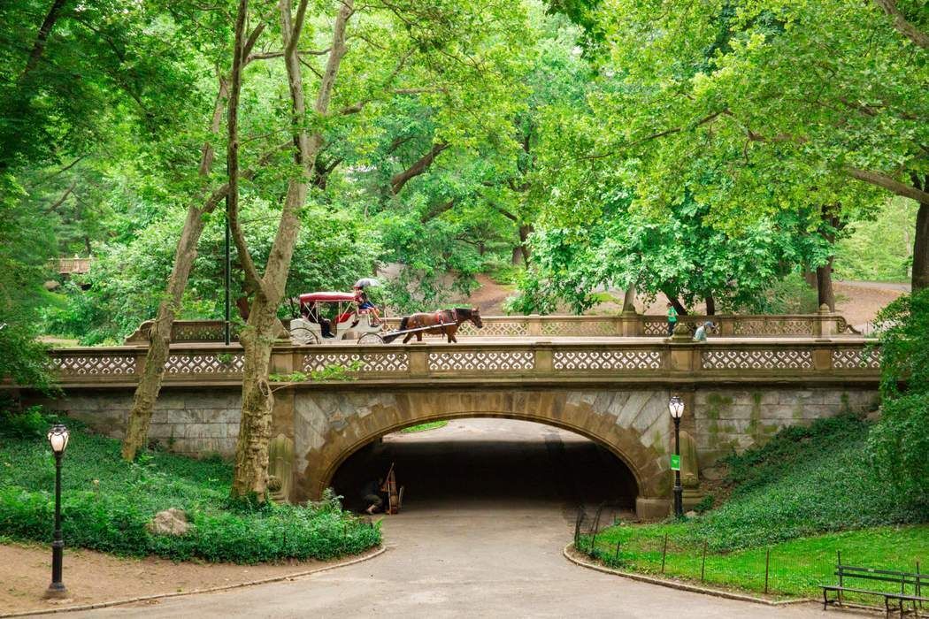 49 East 86th Street 3B Carnegie Hill New York NY 10028