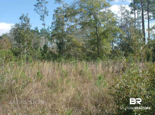 1st image of 0 Route Rd, Lillian, AL 36549 | MLS# 182101