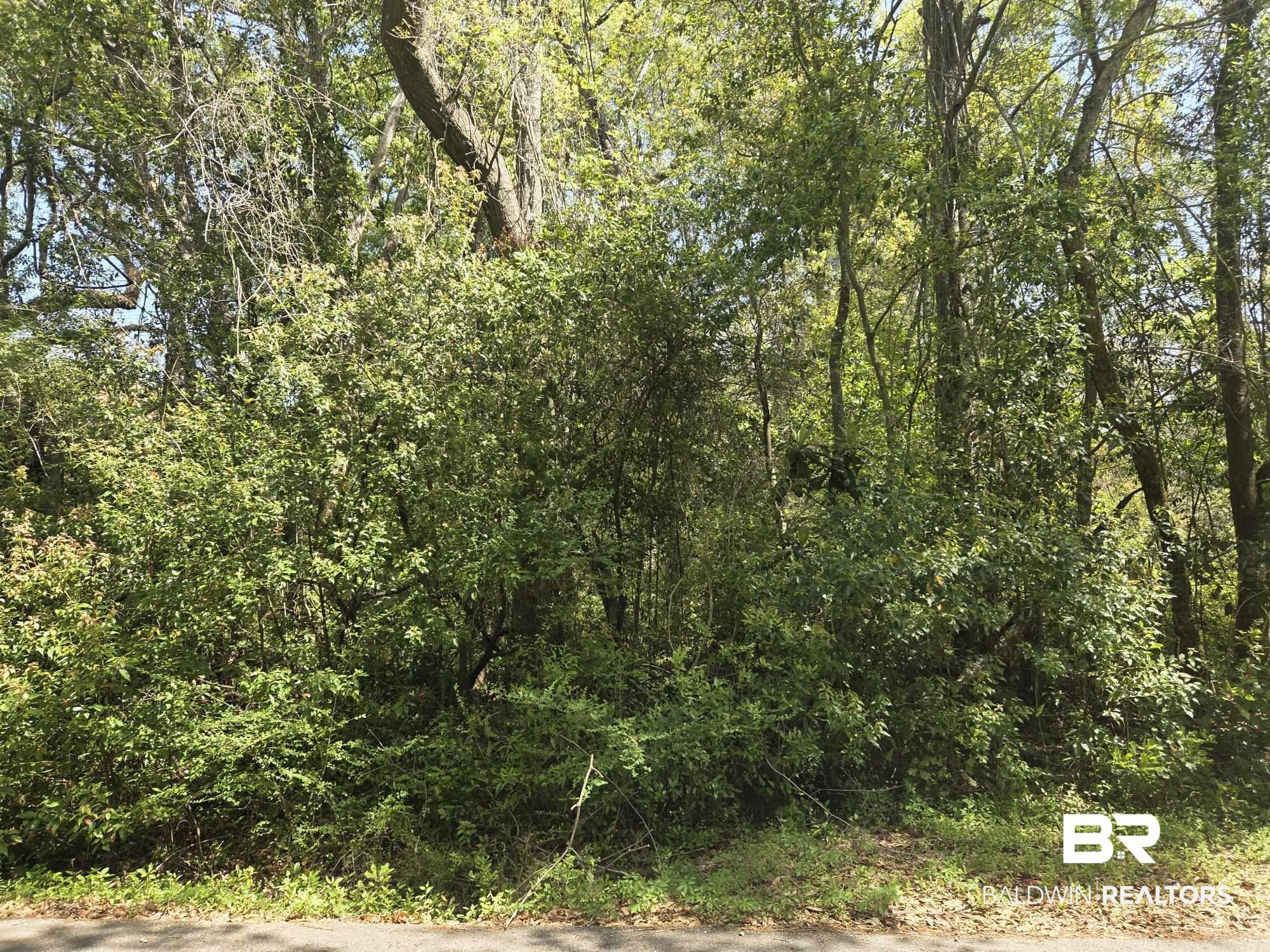 Homes for Sale in Montrose - Fairhope AL