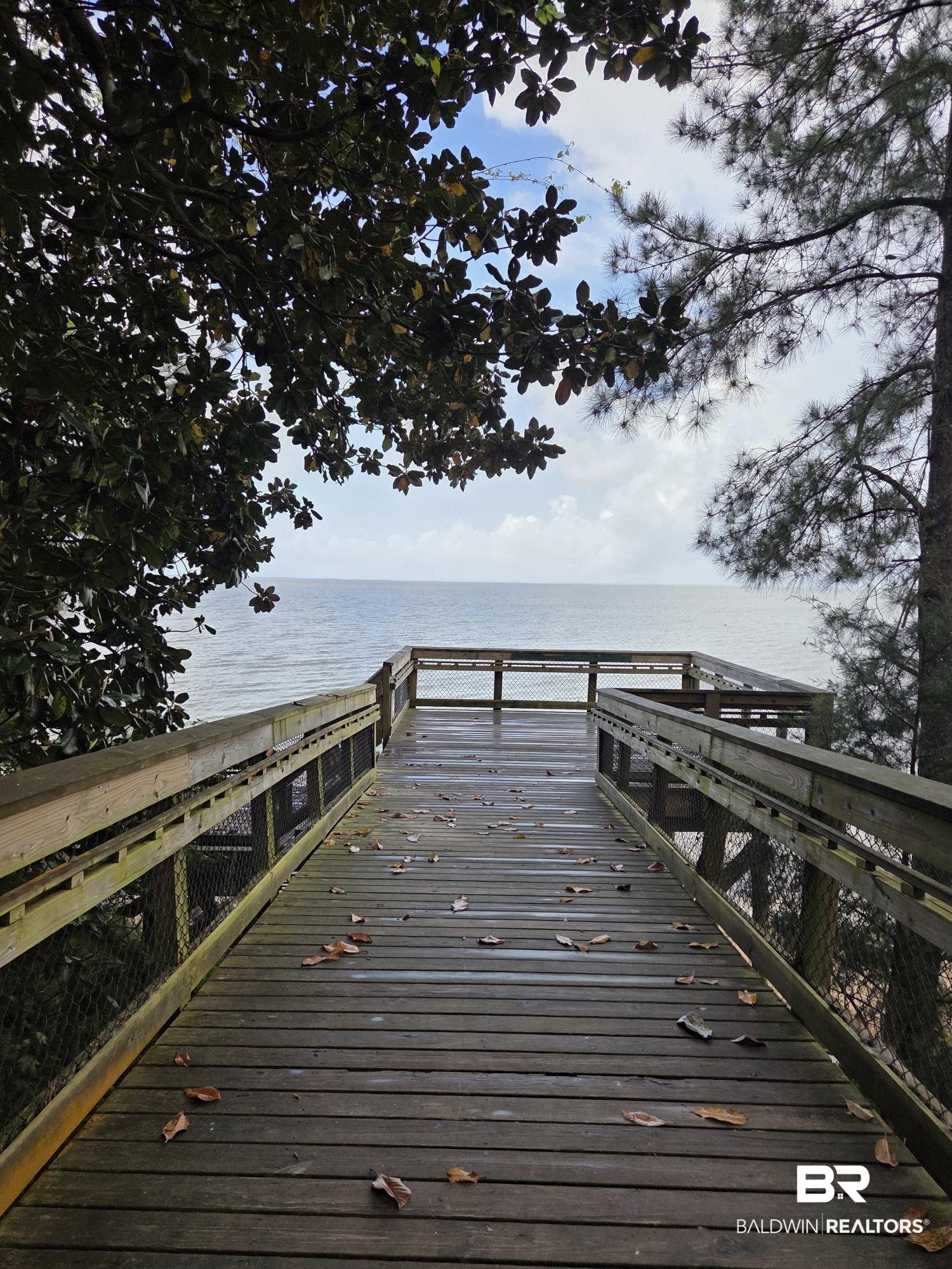 394363 | Photo 5