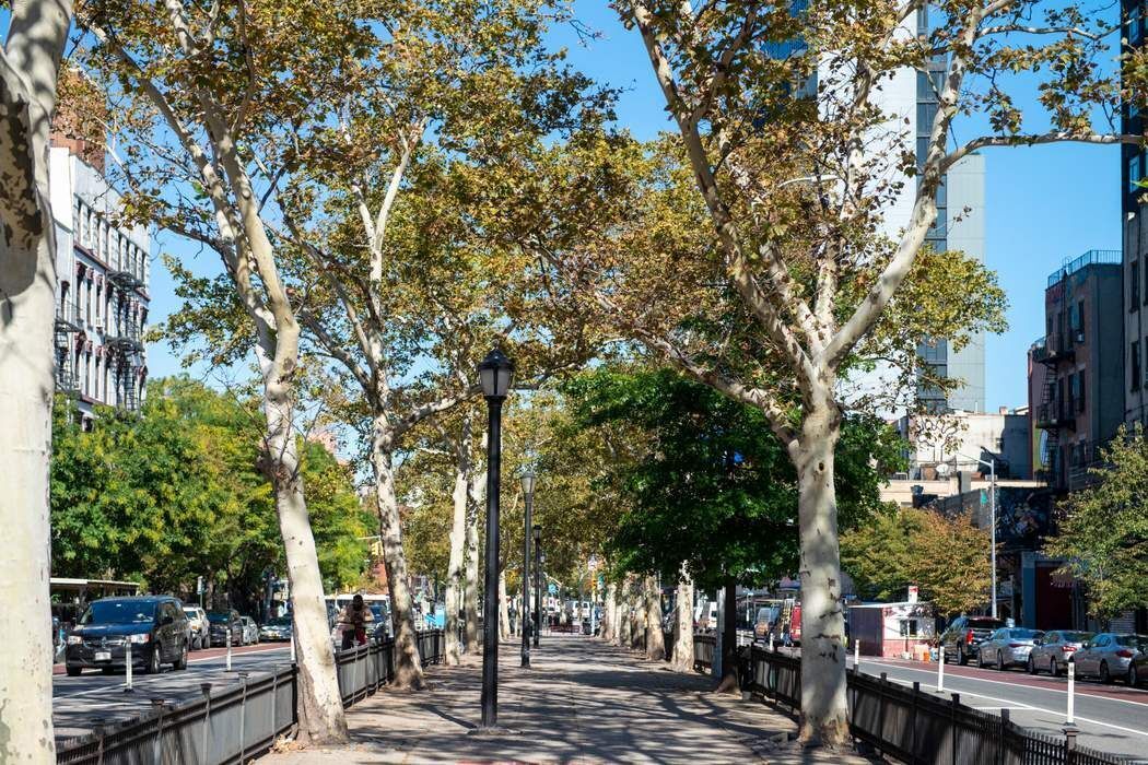 500 Grand Street A6A Lower East Side New York NY 10002