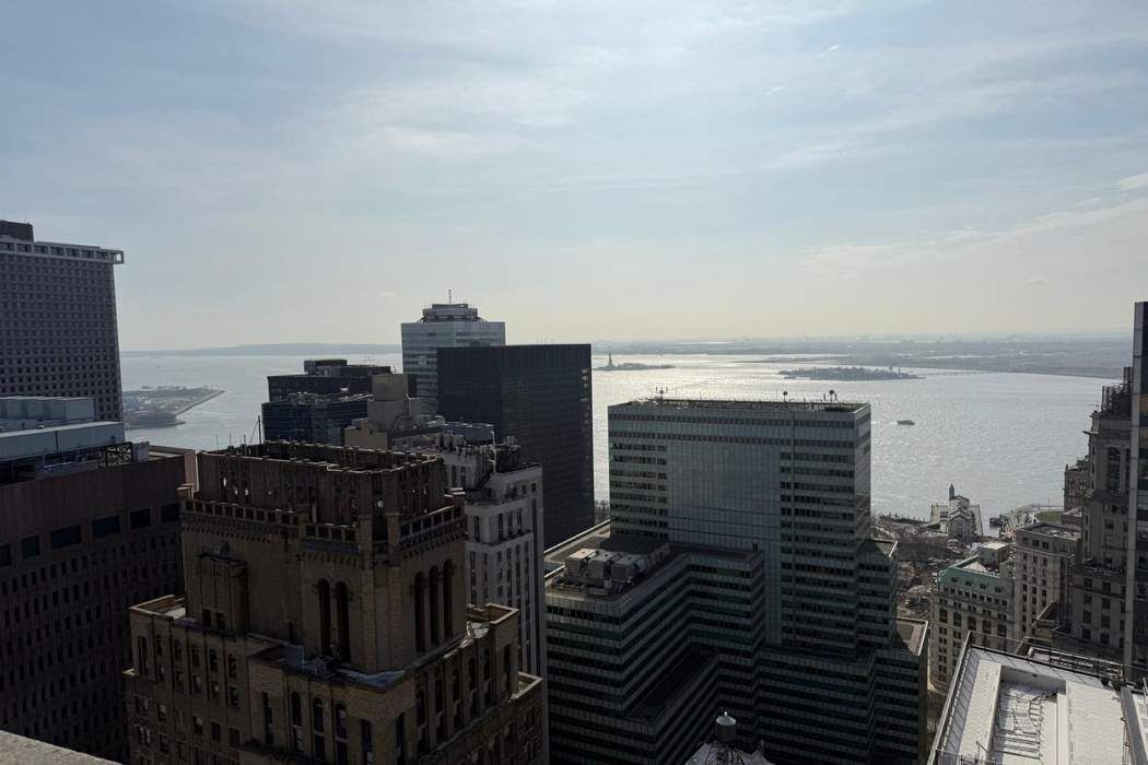 15 William Street 17E Financial District New York NY 10005