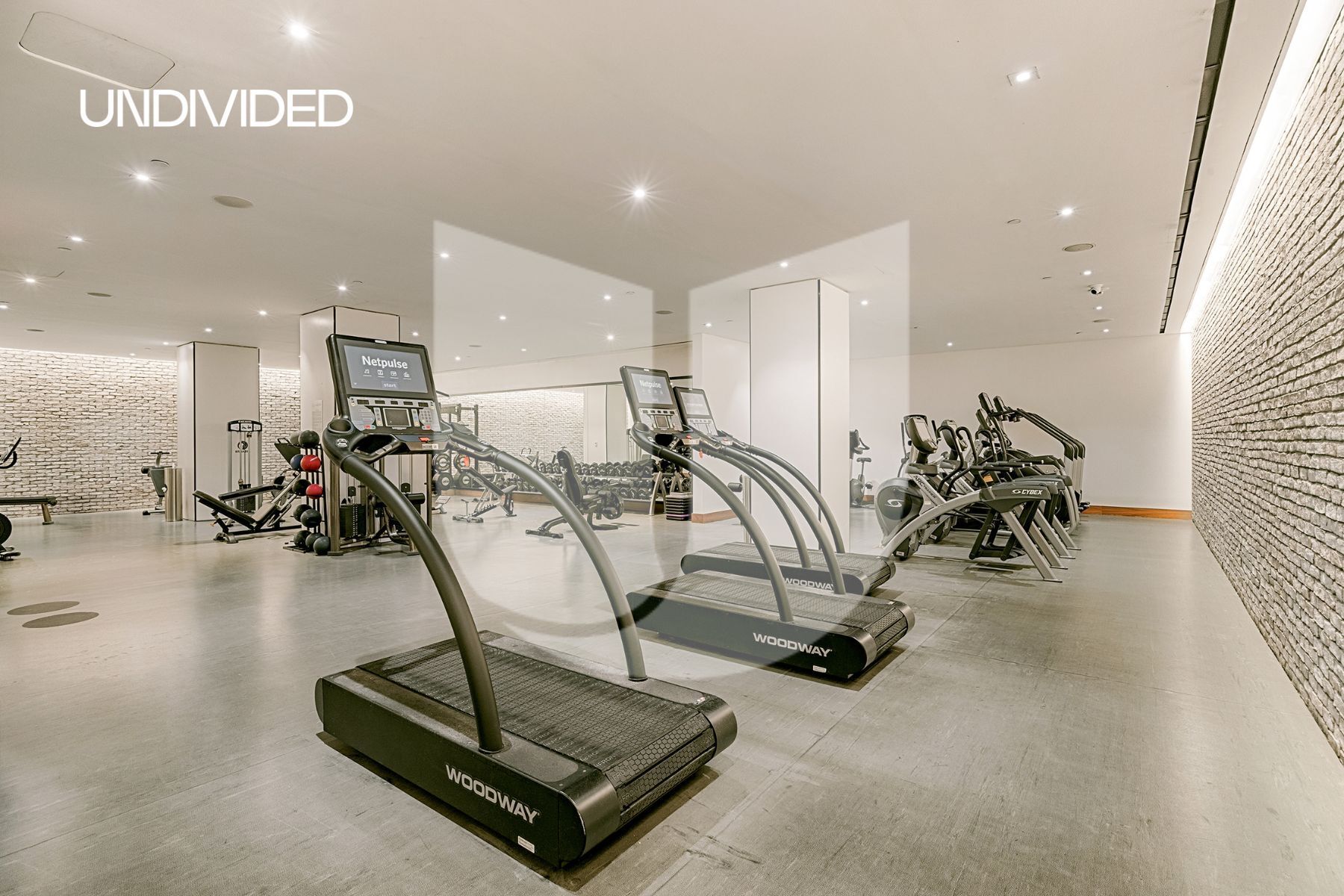 550 Vanderbilt Avenue 326 Pacific Park Brooklyn NY 11238