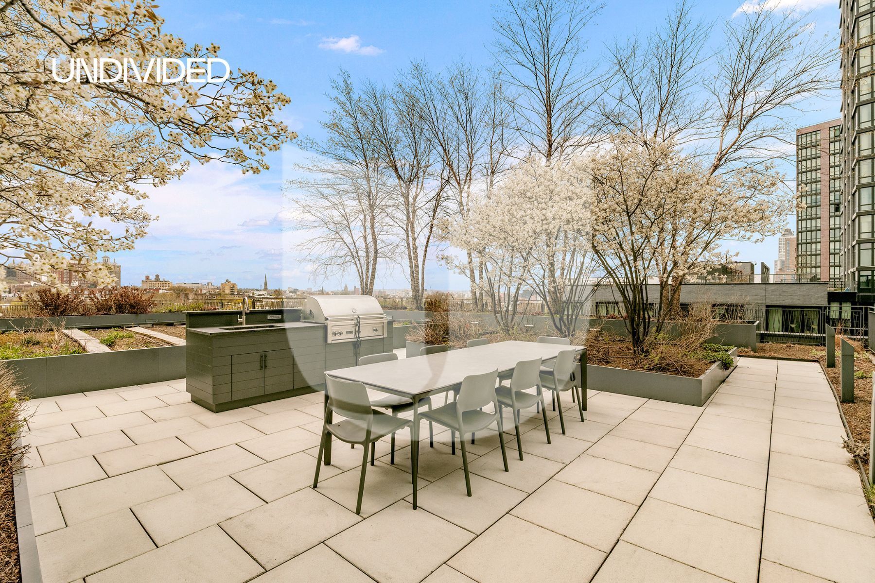 550 Vanderbilt Avenue 326 Pacific Park Brooklyn NY 11238