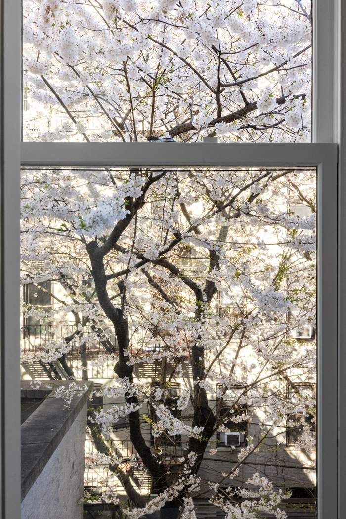 527 3rd Street Park Slope Brooklyn NY 11215