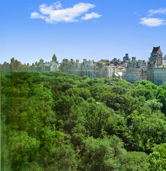 106 Central Park South 16G Central Park South New York NY 10019