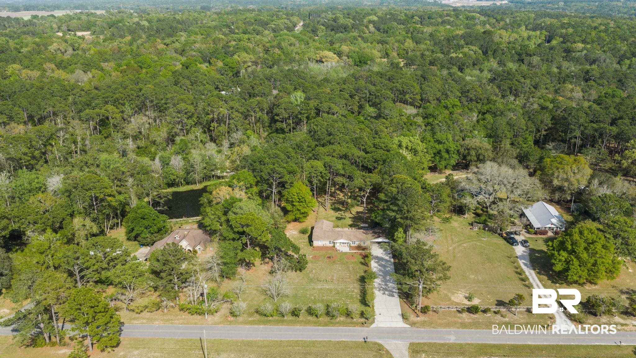 394499 | Photo 51