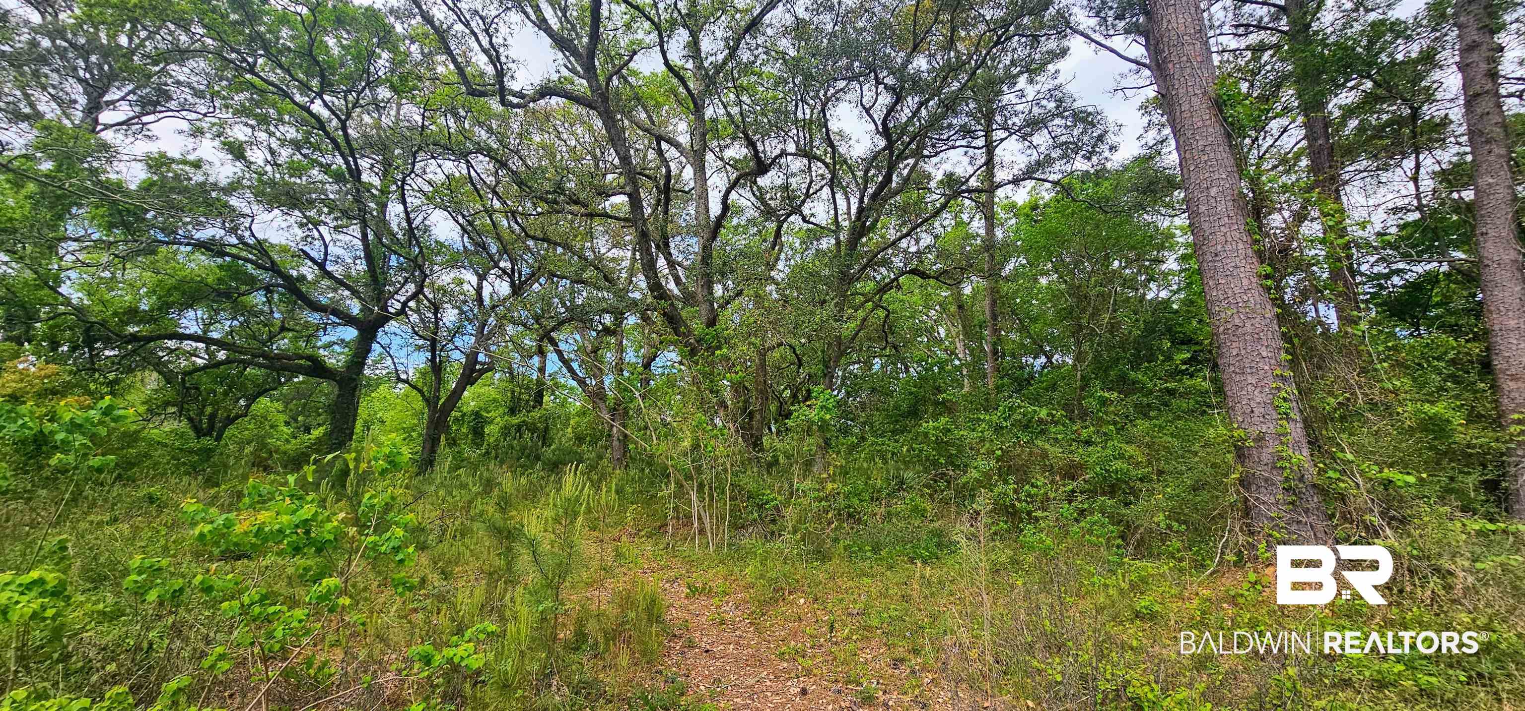 394569 | Photo 2