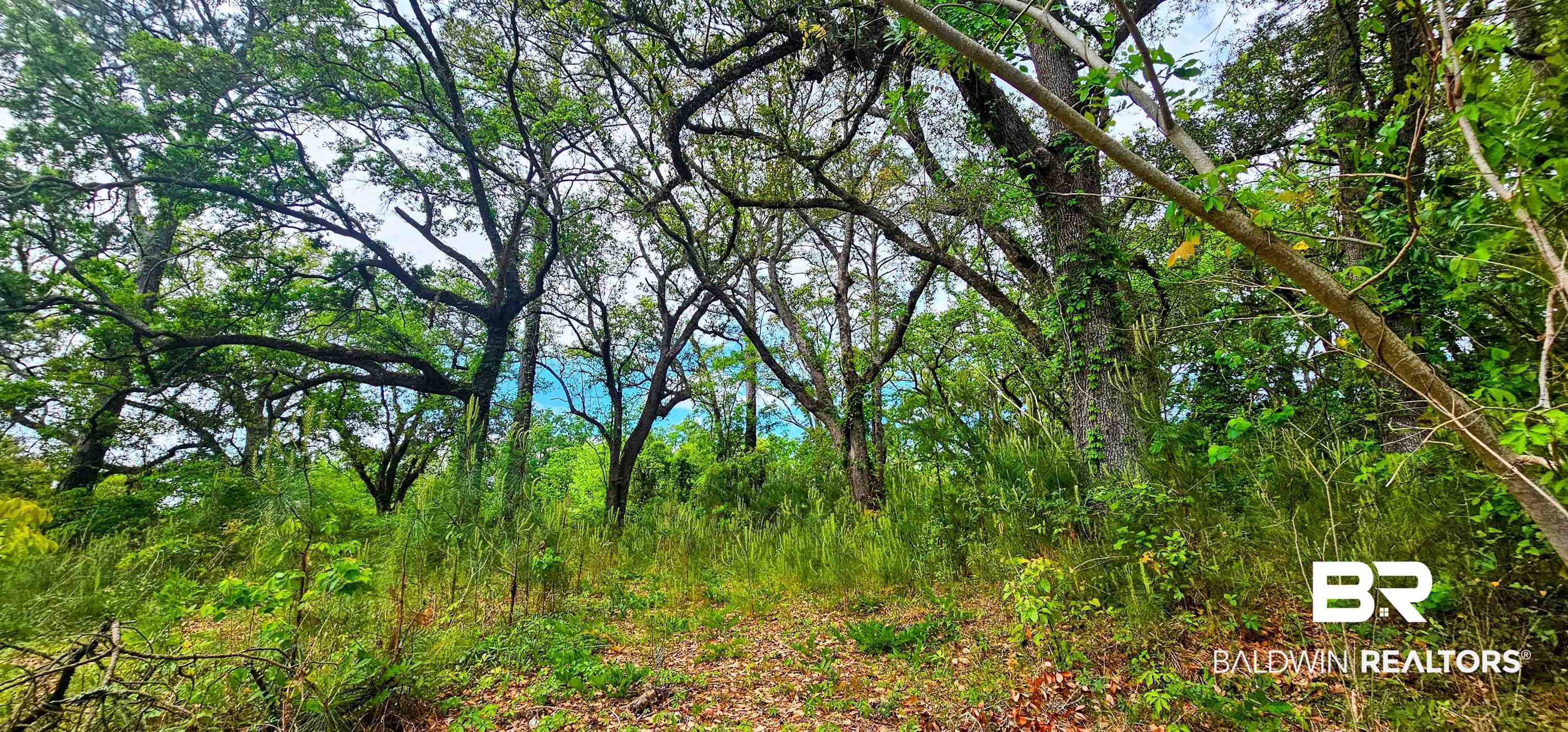 394569 | Photo 3