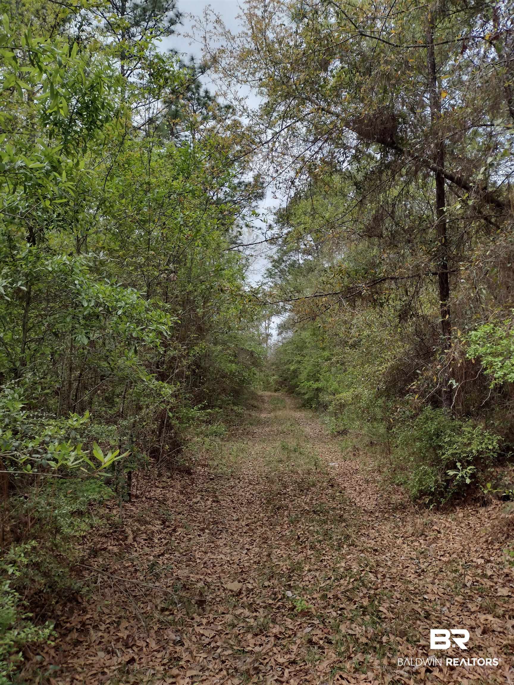 394521 | Photo 7