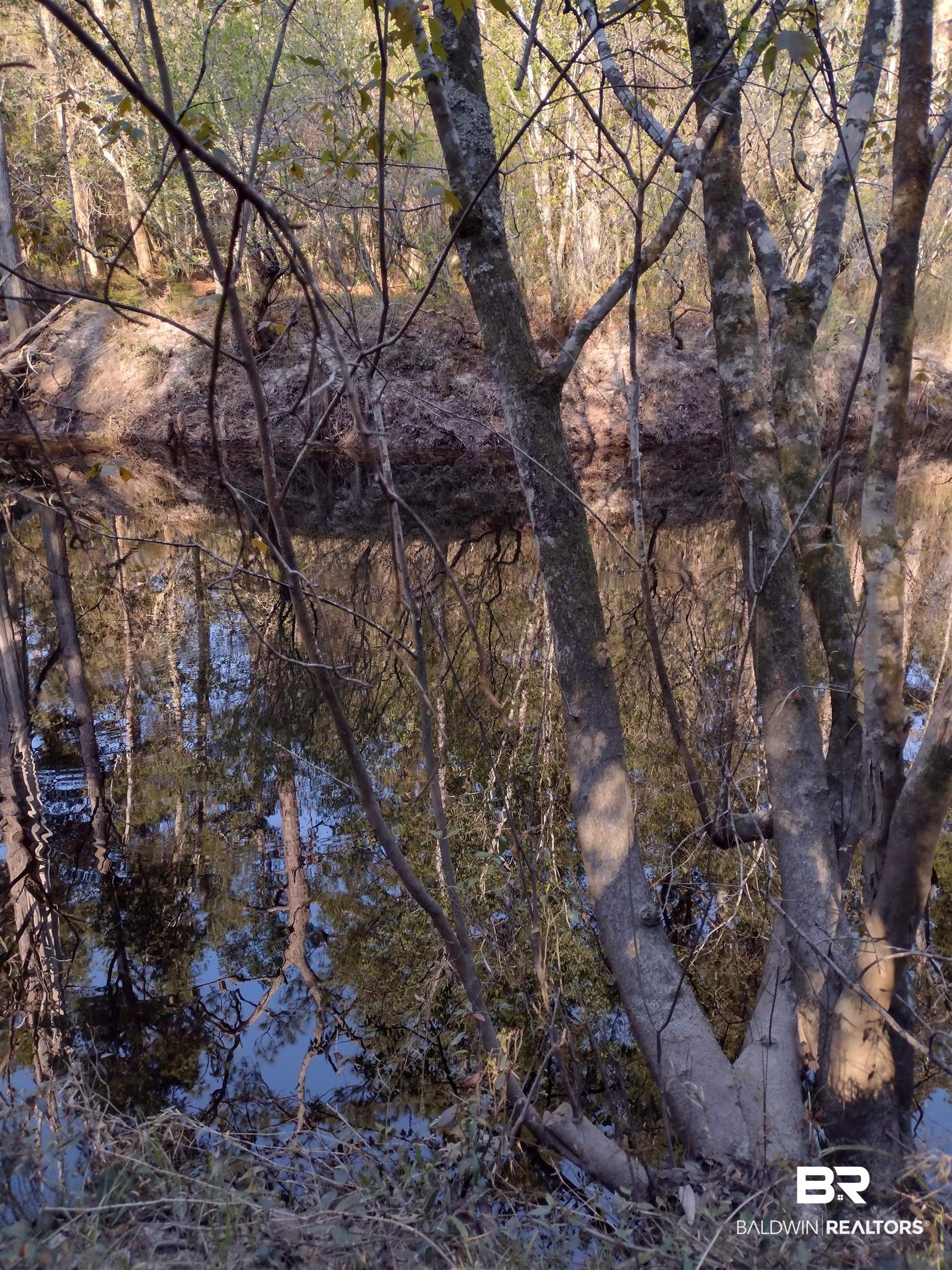 394521 | Photo 9