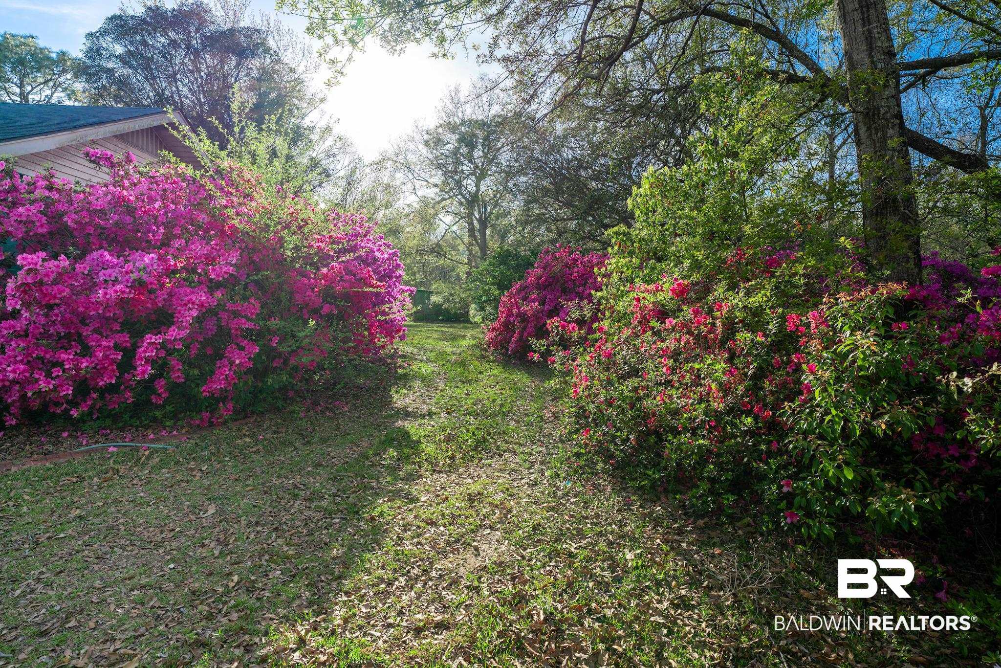 395086 | Photo 2