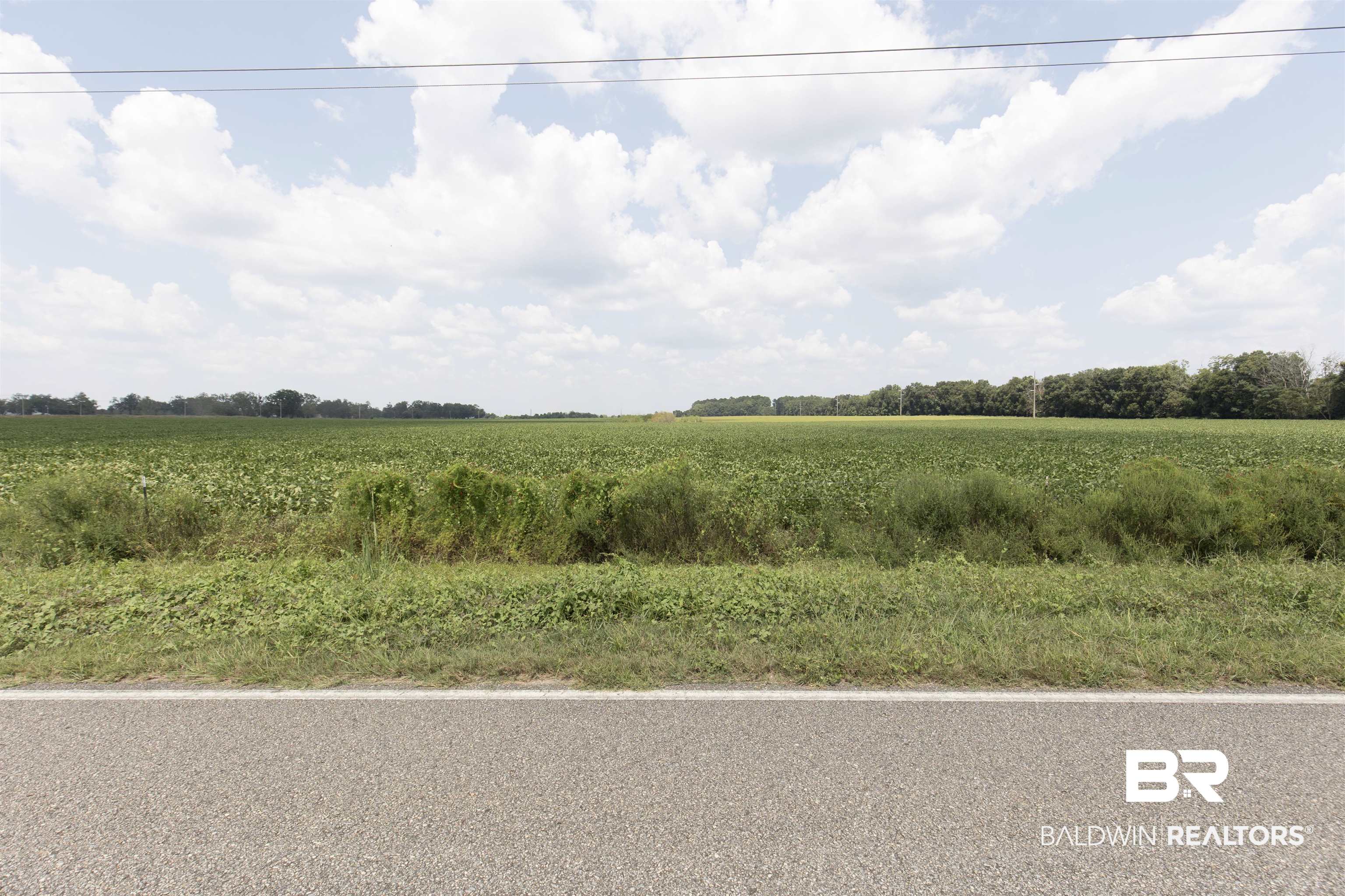 395006 | Photo 11