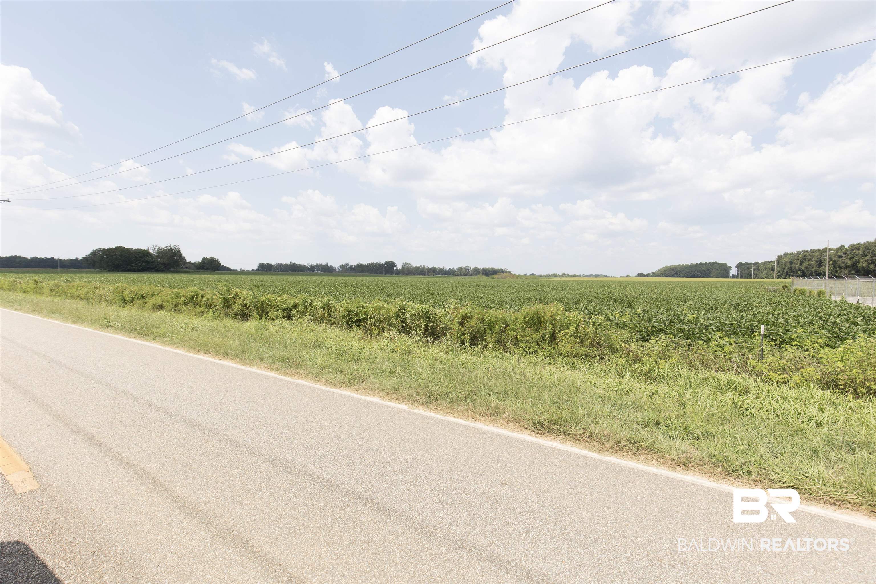 395006 | Photo 12