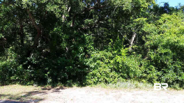 1st image of 0 Dowty Ln, Orange Beach, AL 36561 | MLS# 241383