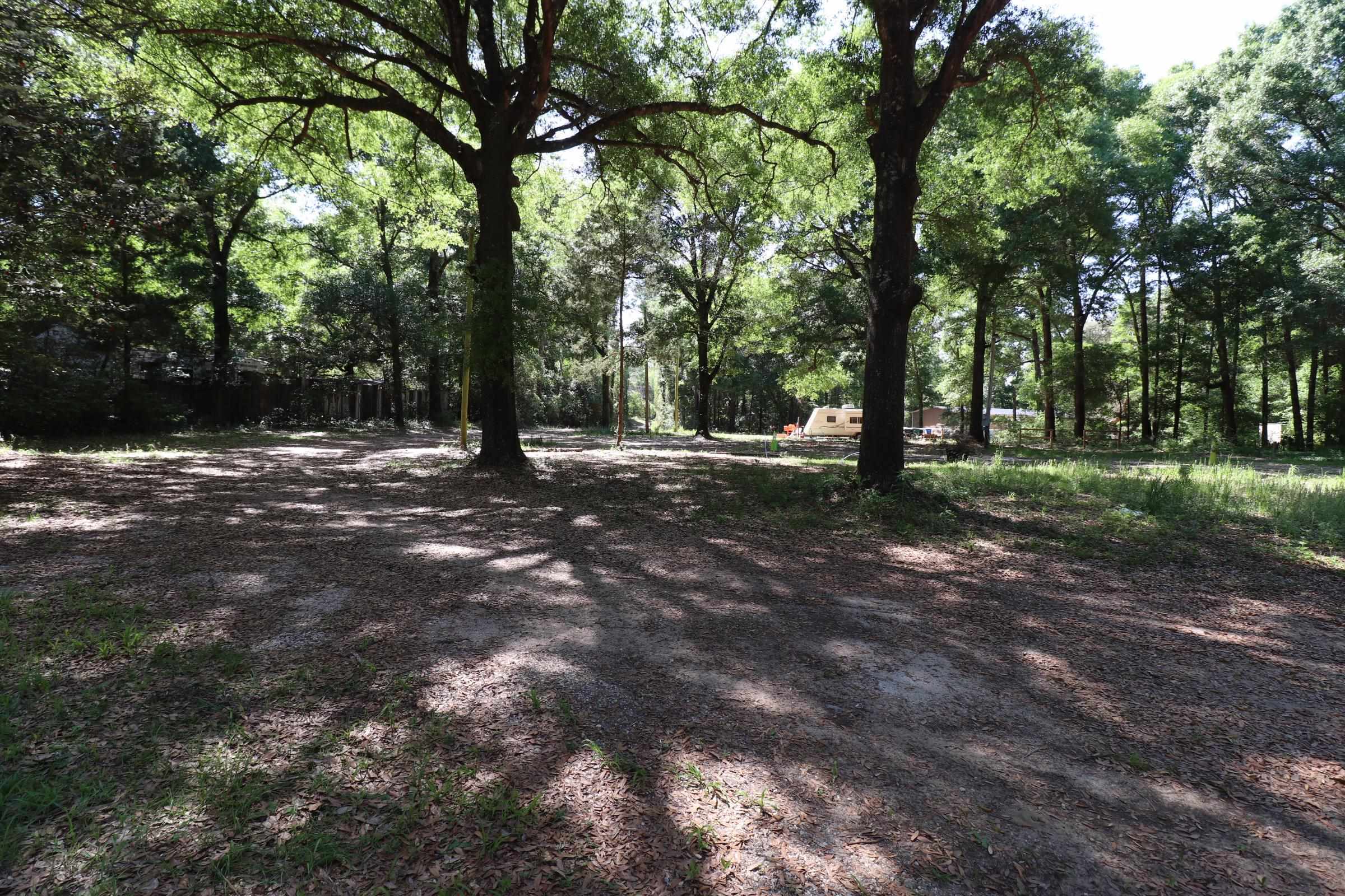 391166 | Photo 18