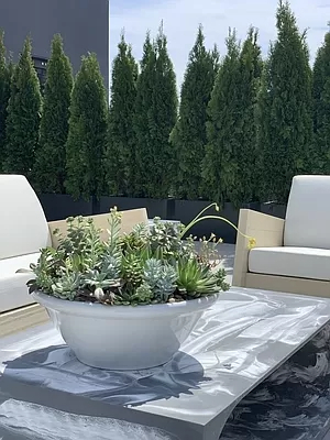 101 East 10th Street E. Greenwich Village New York NY 10003