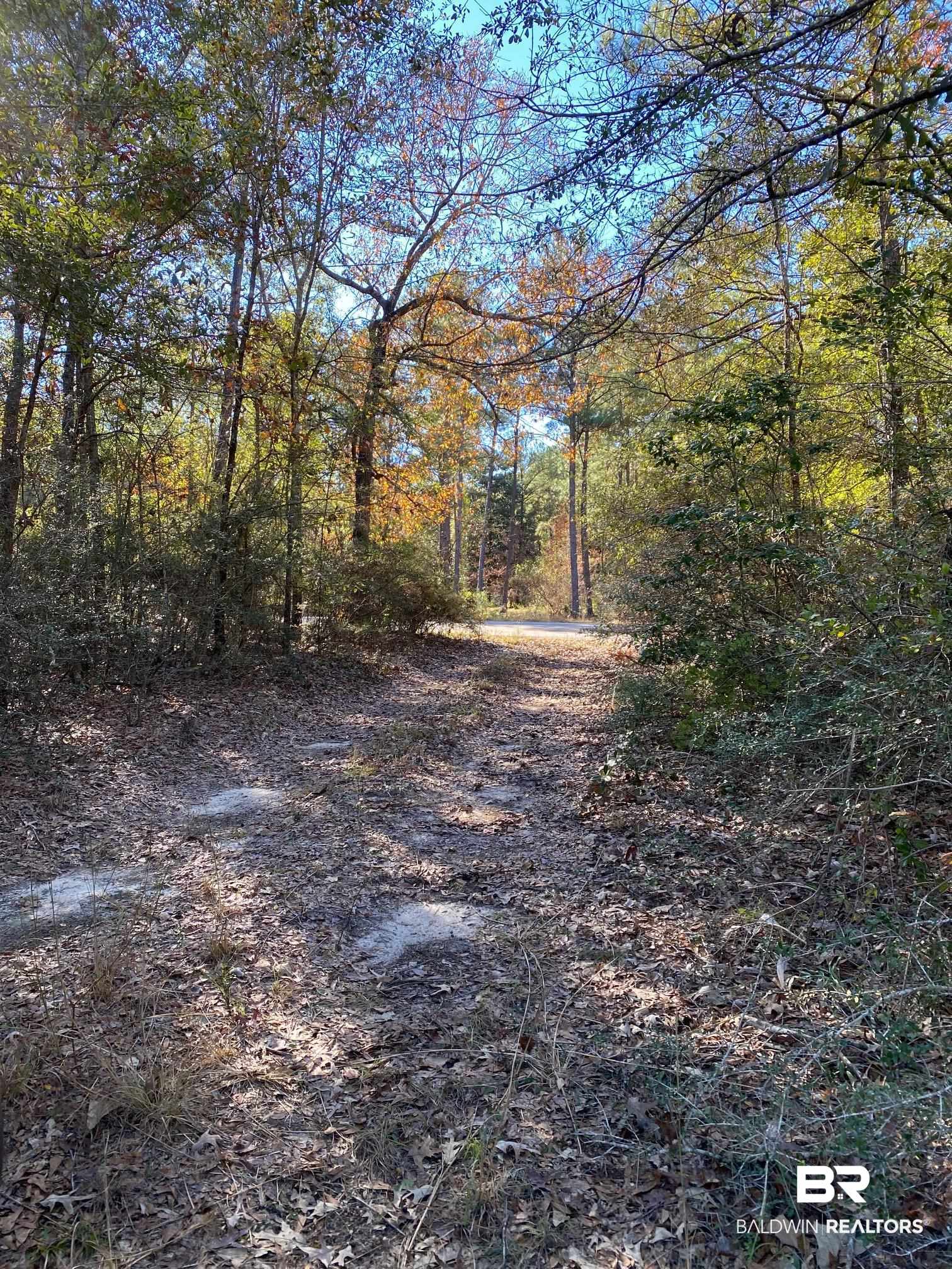 Photo 3 of Land at 0 Sardis Church Rd, Atmore, AL 36502 | MLS# 348310 |  | Sold on 2023-08-22