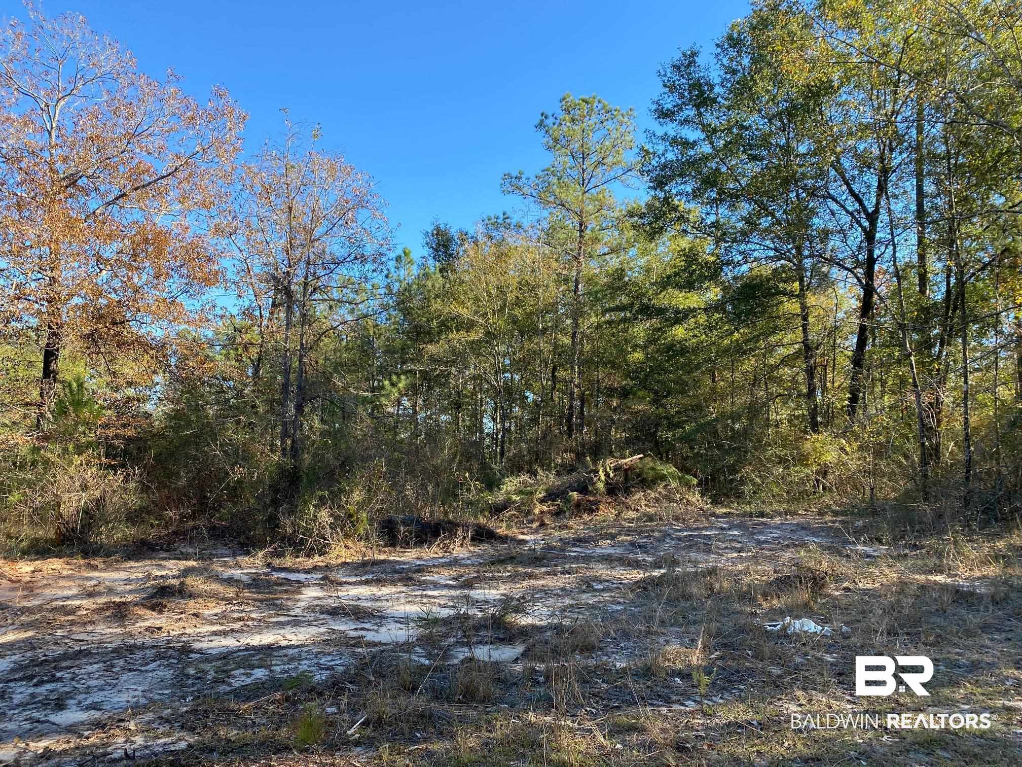 Photo 5 of Land at 0 Sardis Church Rd, Atmore, AL 36502 | MLS# 348310 |  | Sold on 2023-08-22