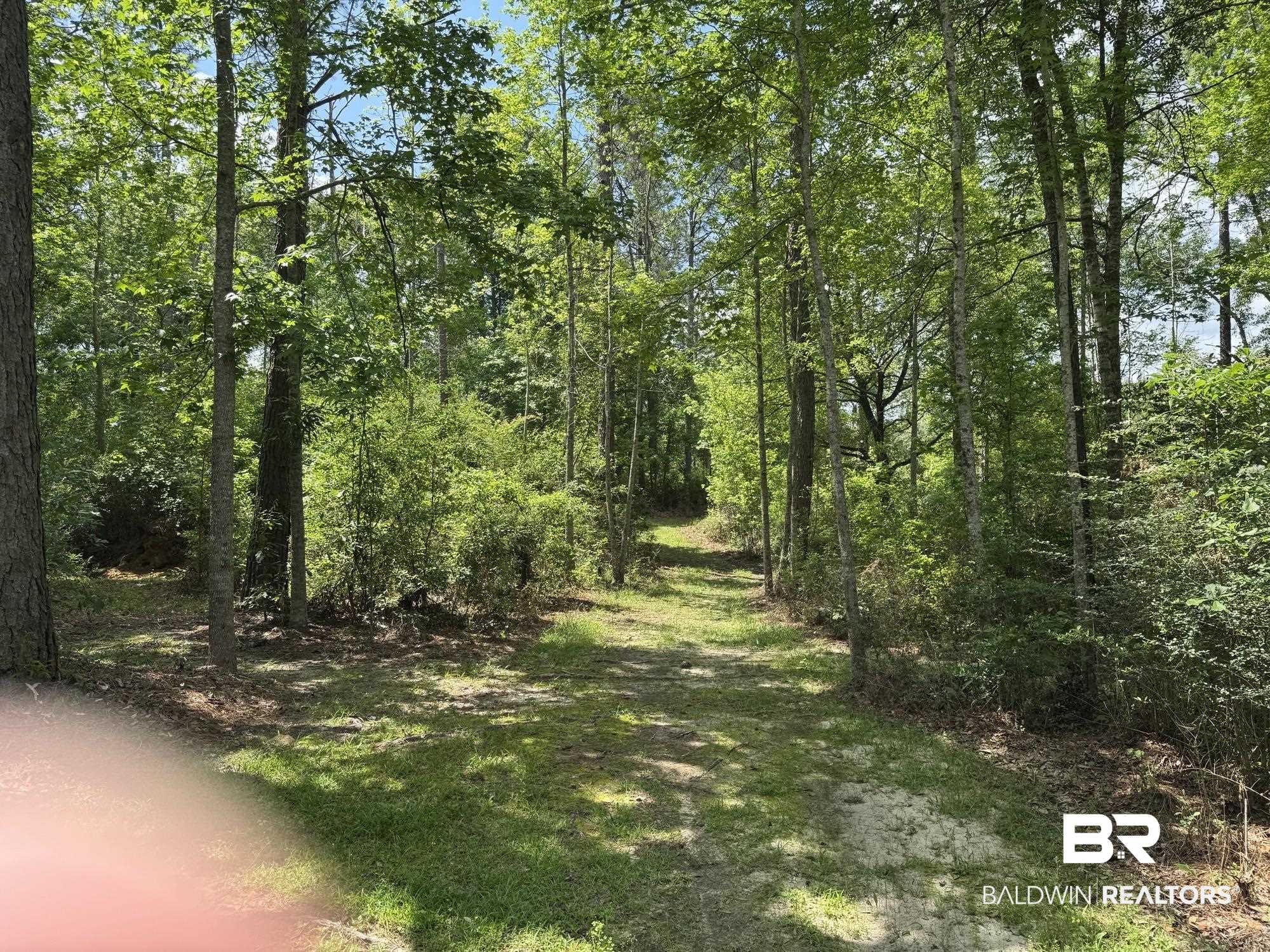 15760 Pine Grove Rd Extension