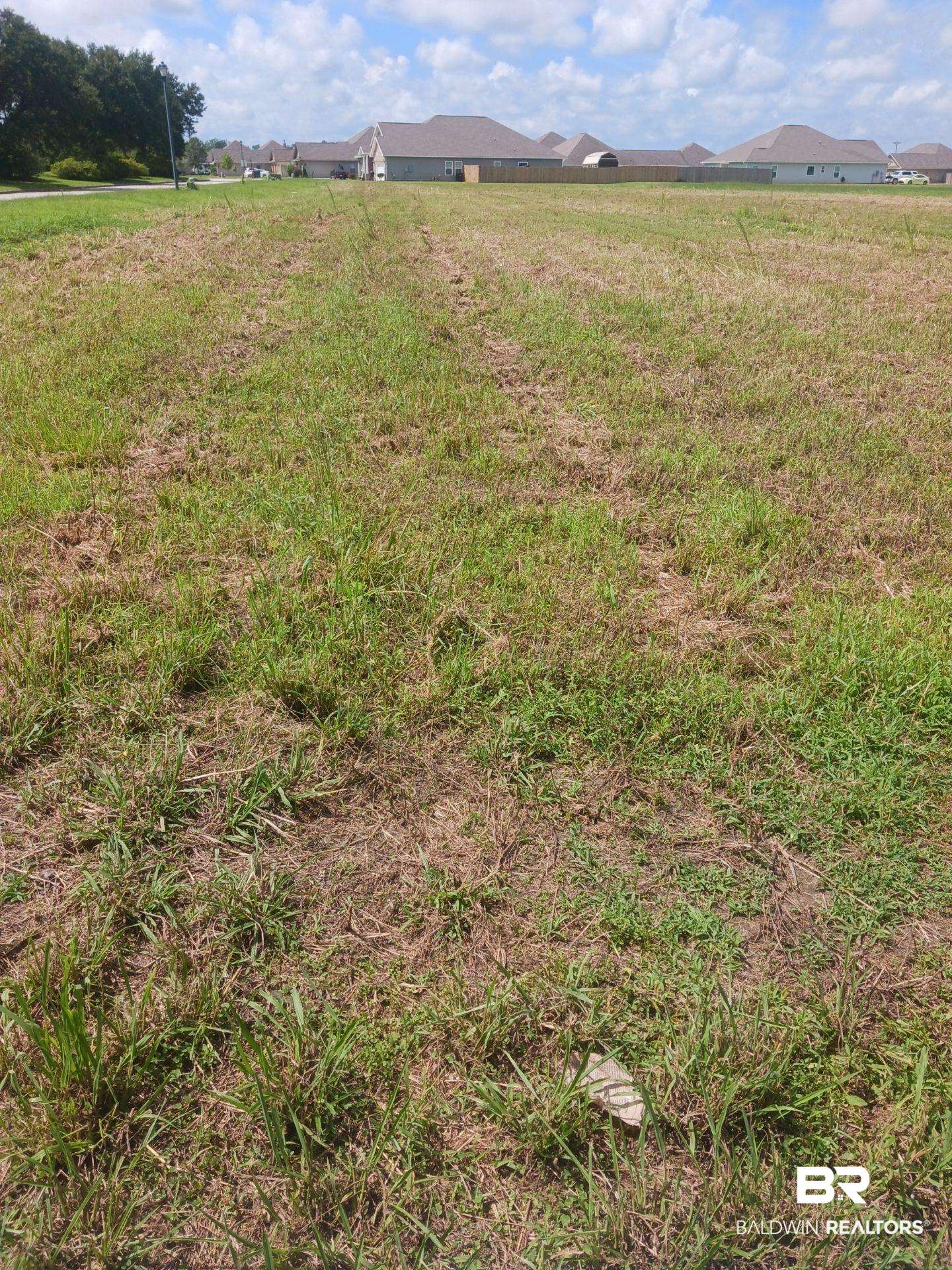 1st image of 0 Valamour Blvd, Loxley, AL 36551 | MLS# 378775