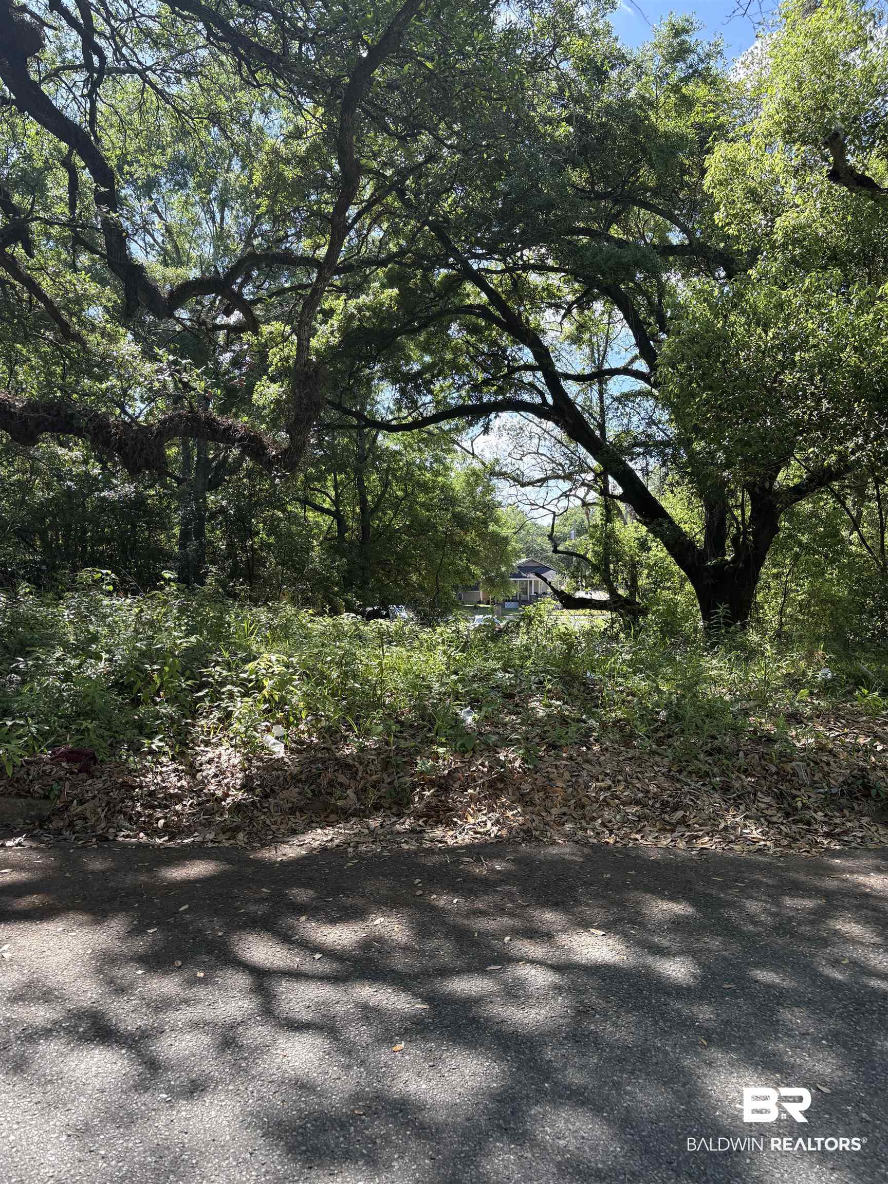 395398 | Photo 2