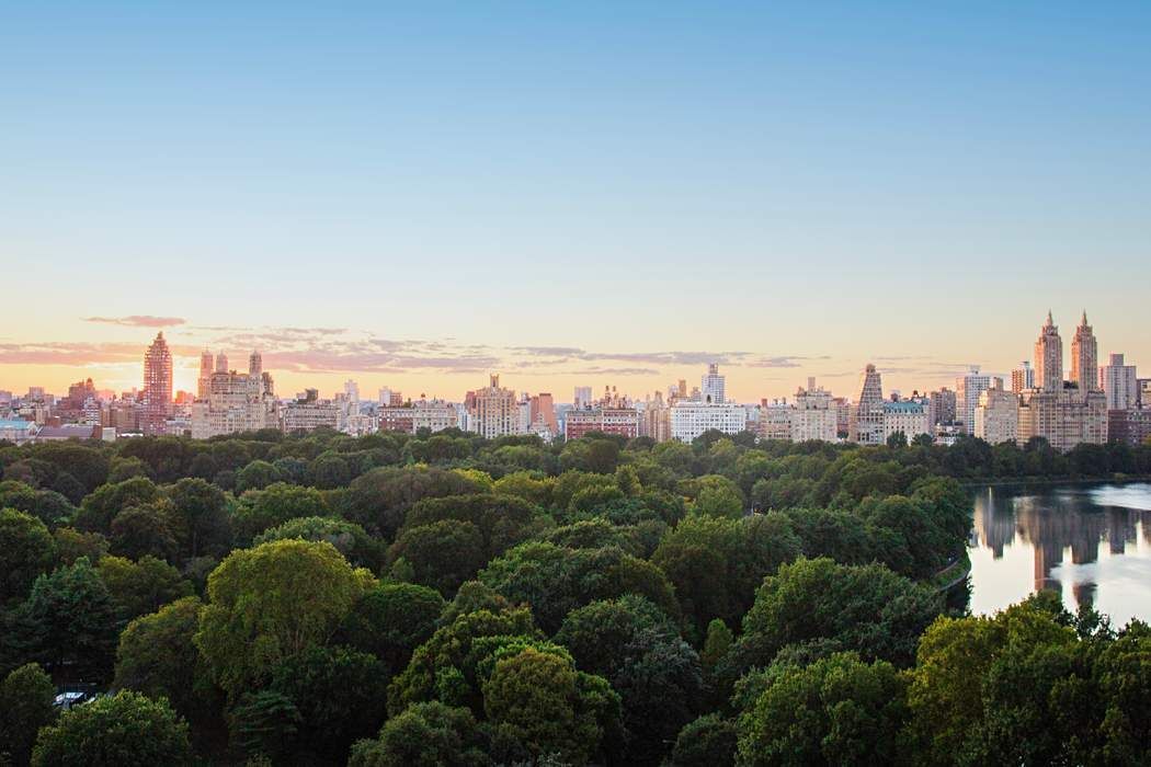 1040 Fifth Avenue 16A Upper East Side New York NY 10028