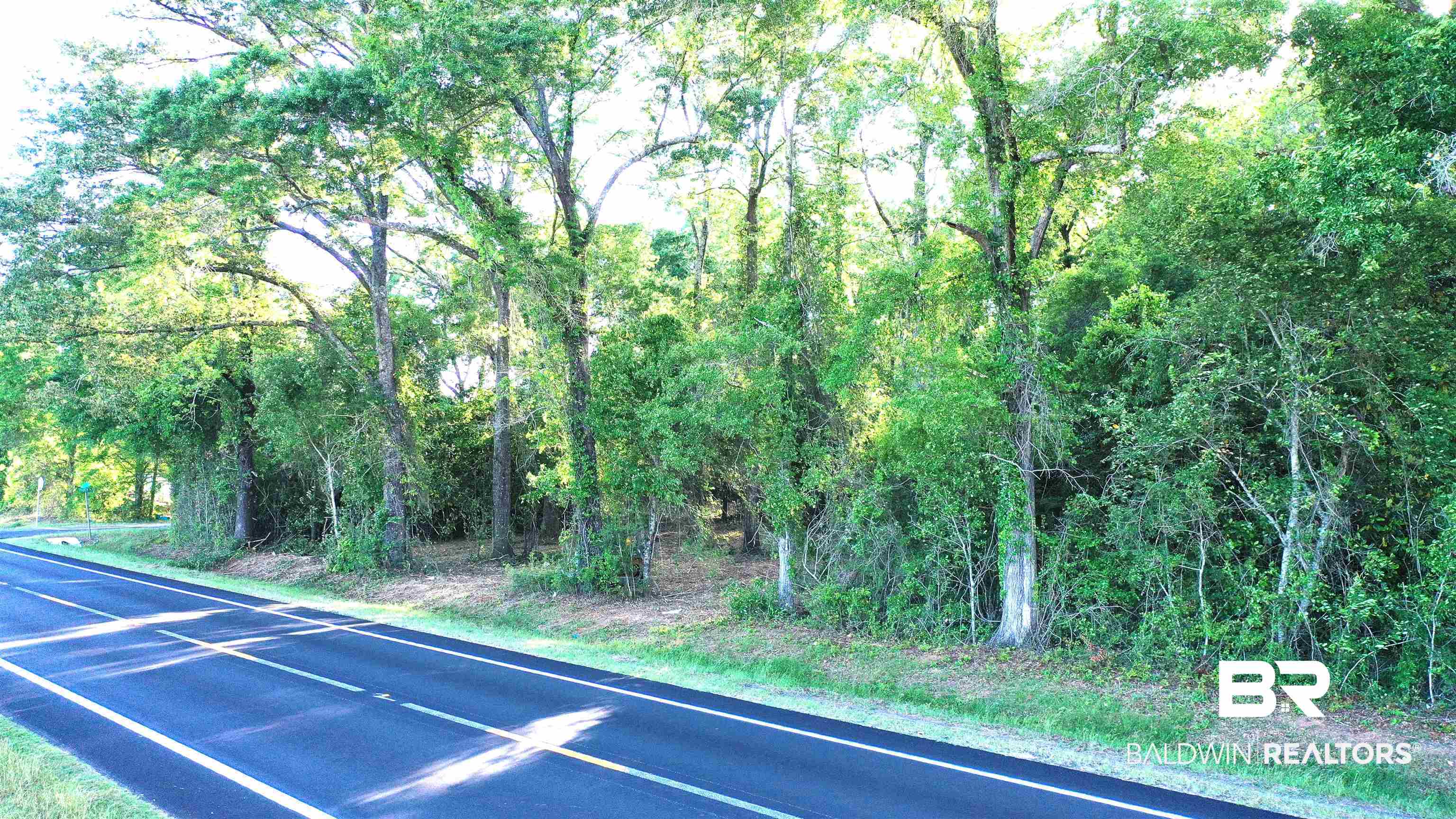 395274 | Photo 2