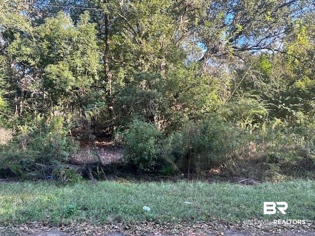 395577 | Photo 21