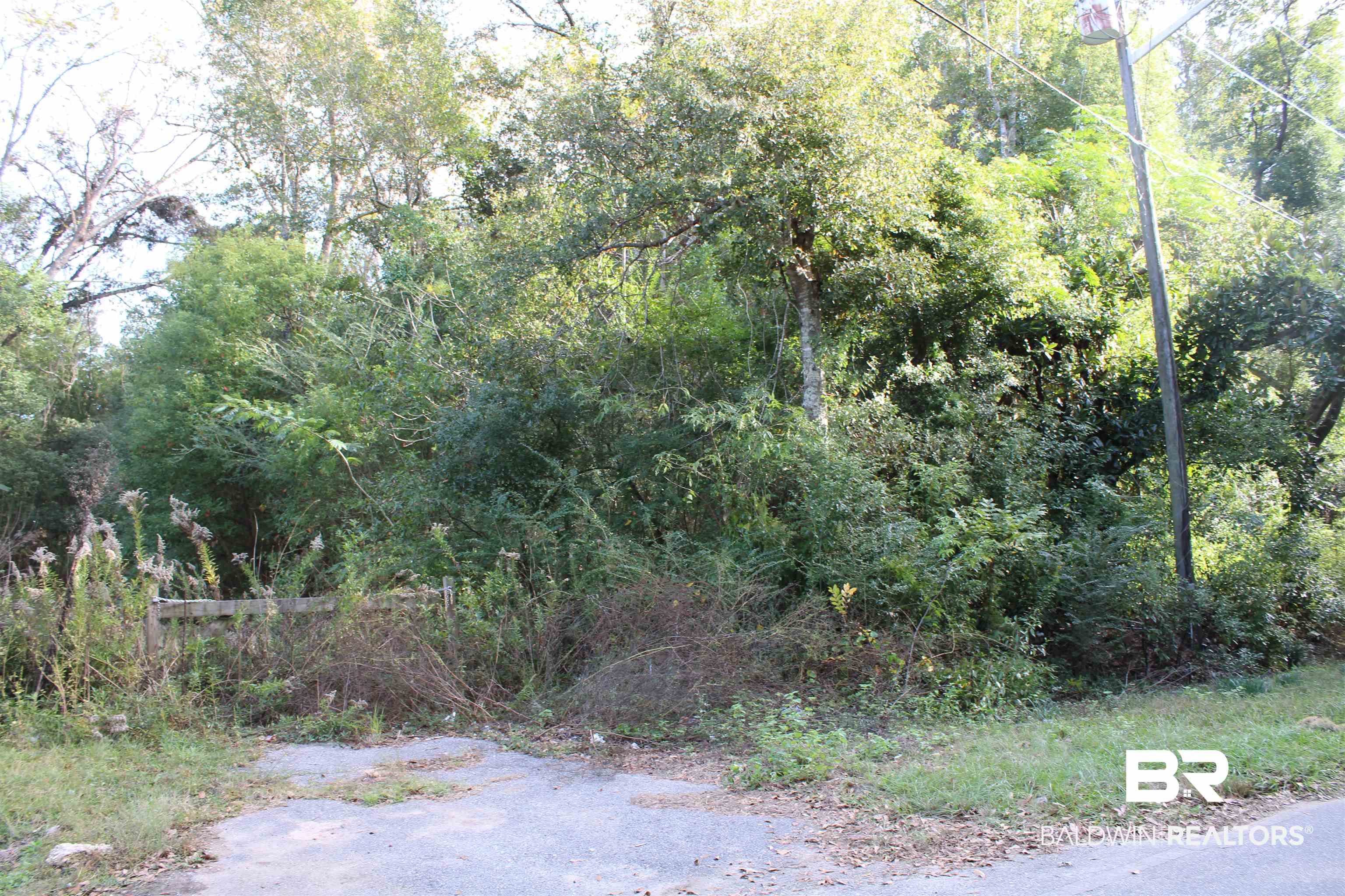 395577 | Photo 23