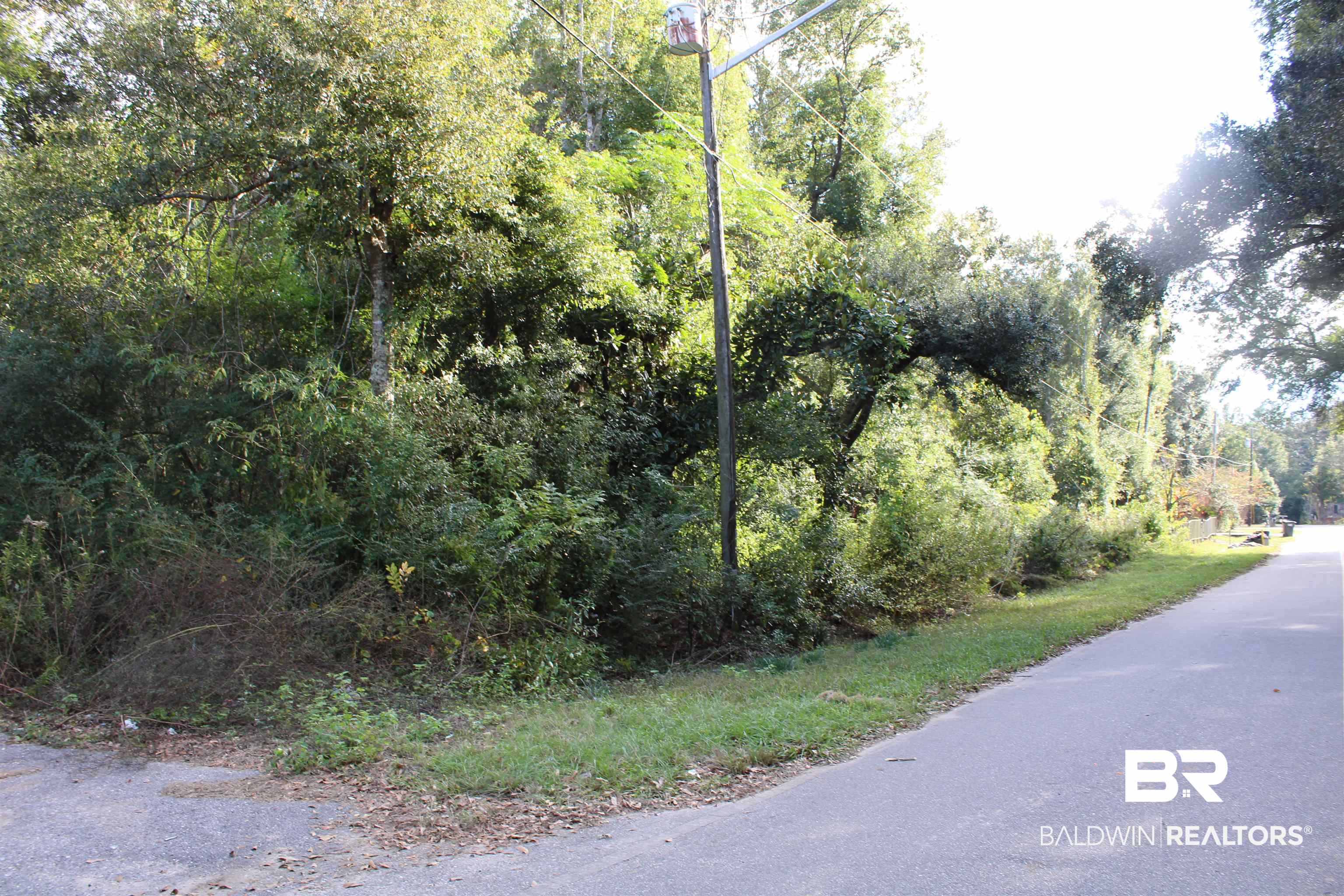 395577 | Photo 25