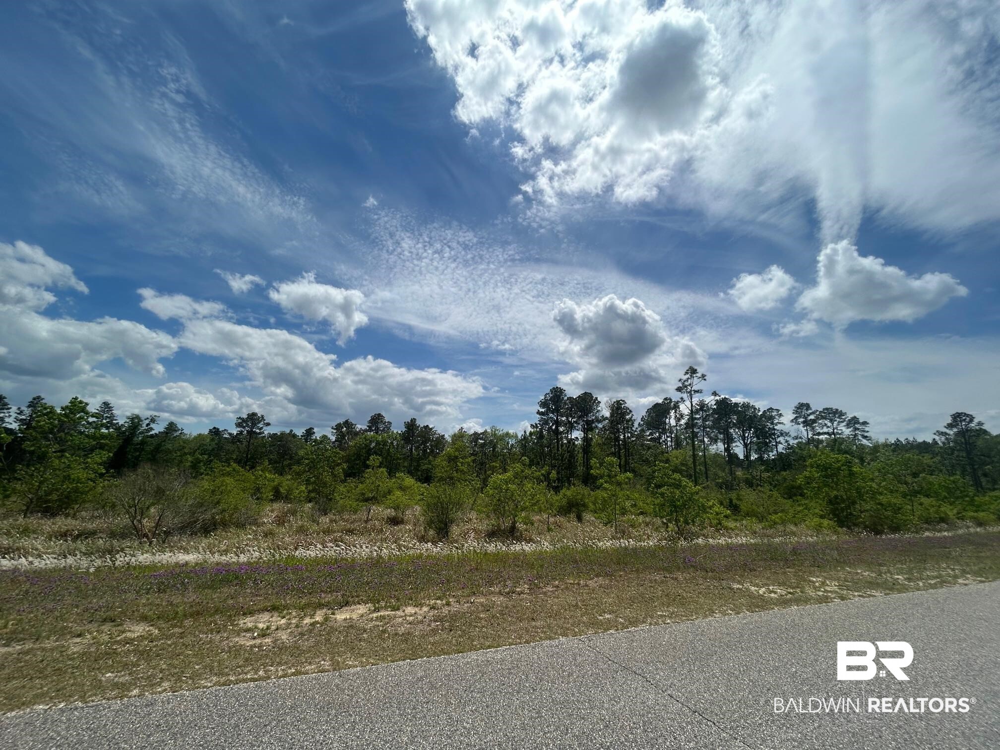 395593 | Photo 9