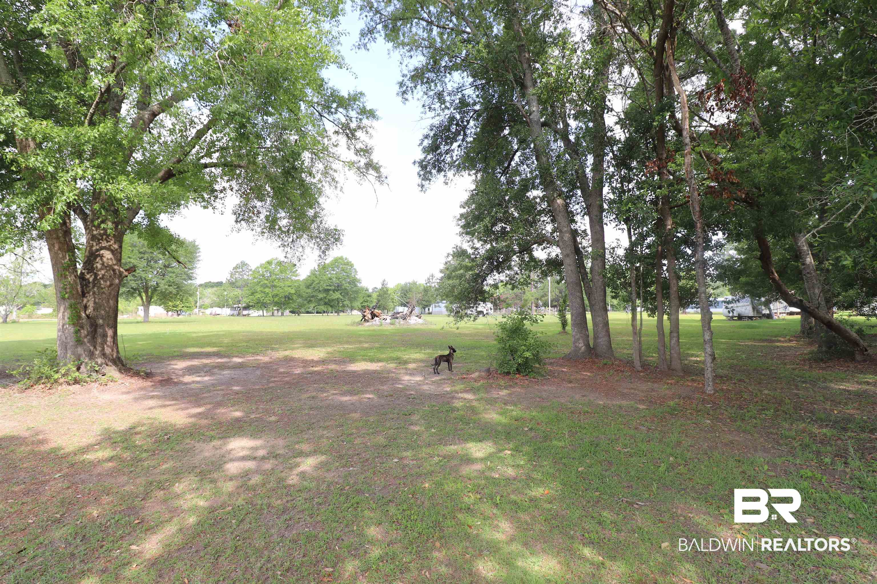 395890 | Photo 2