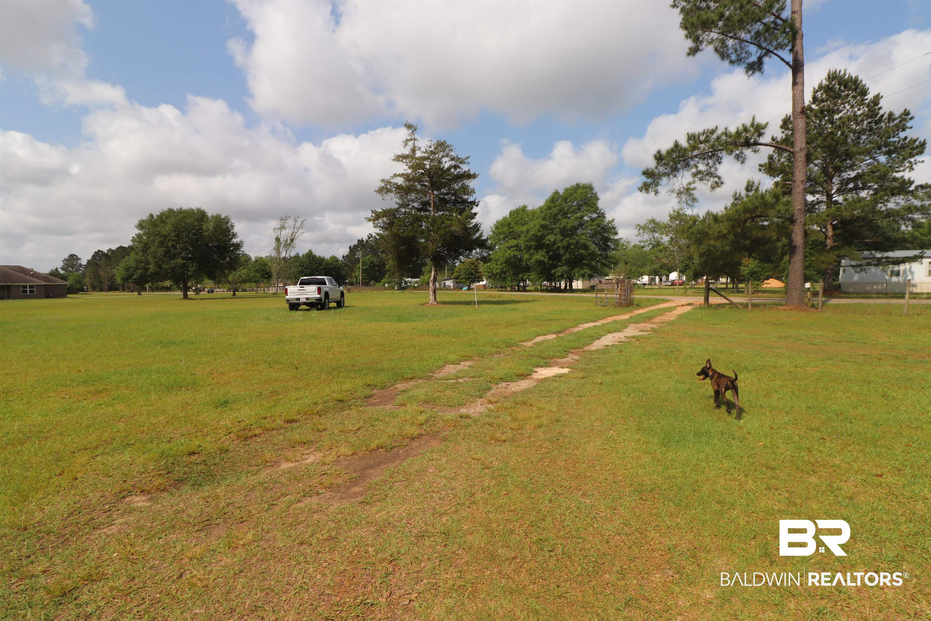 395890 | Photo 16