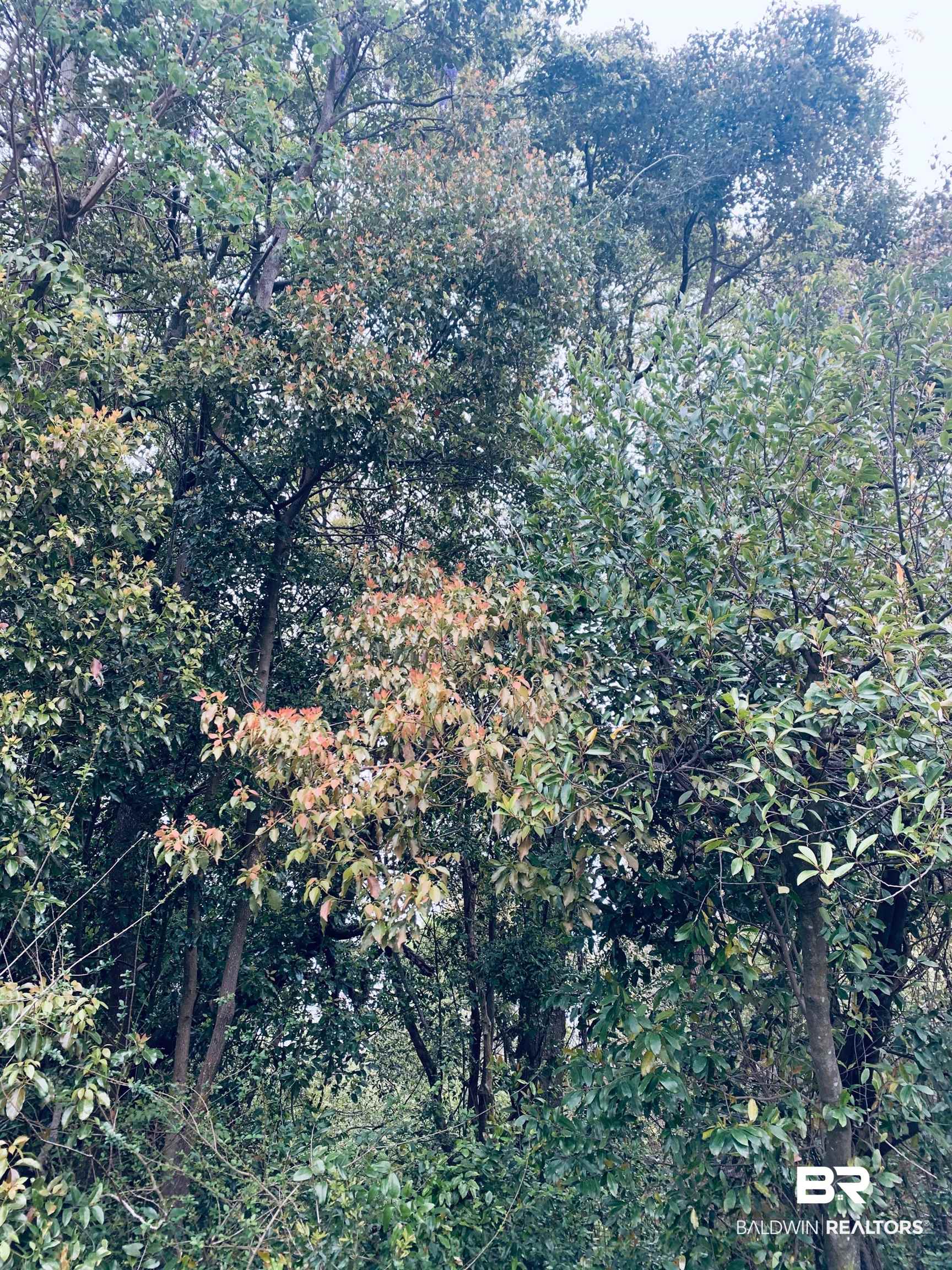 395898 | Photo 6