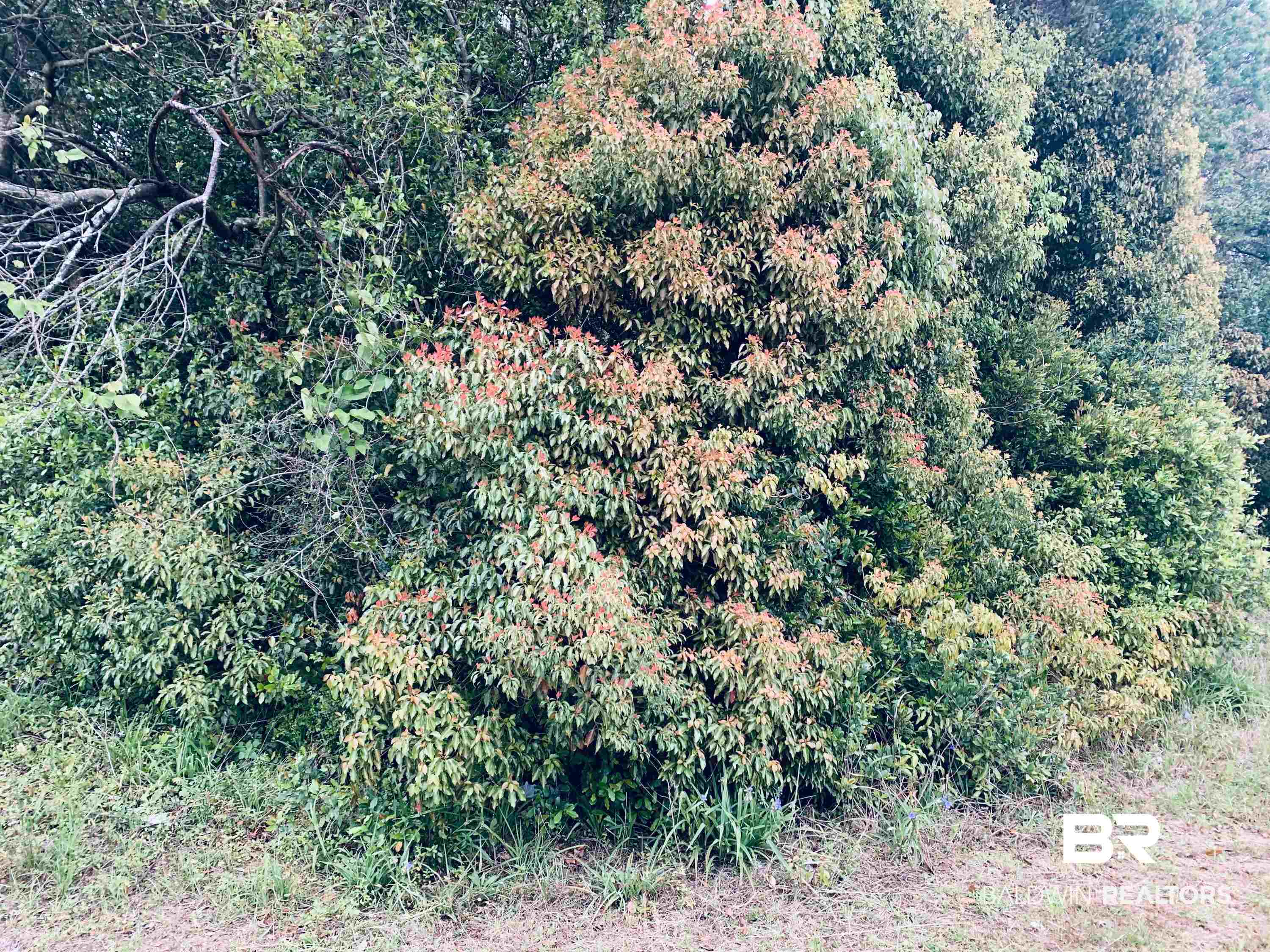 395898 | Photo 7