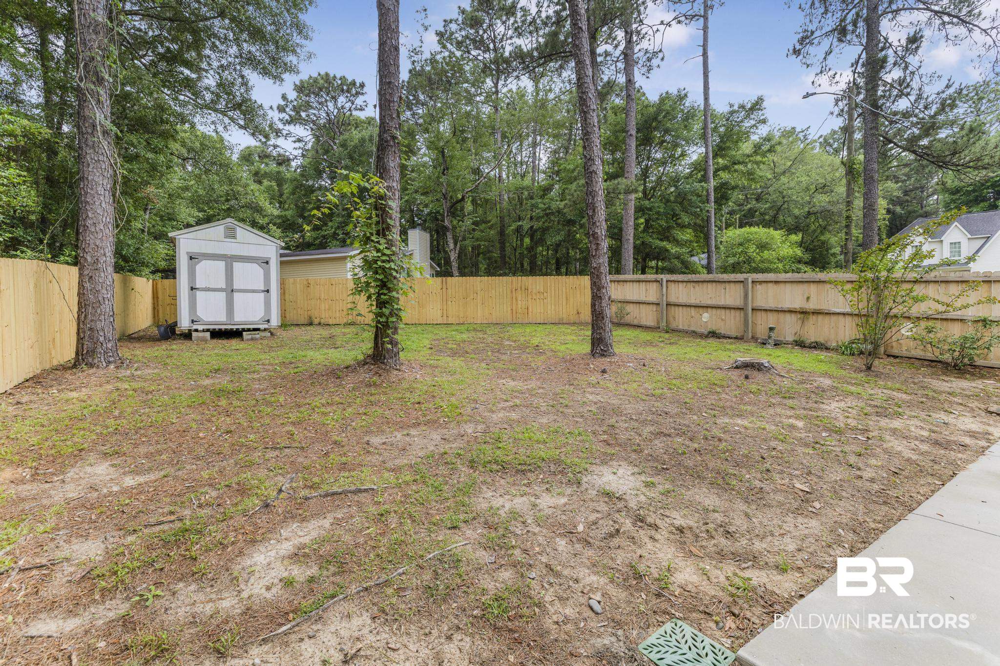 394681 | Photo 43
