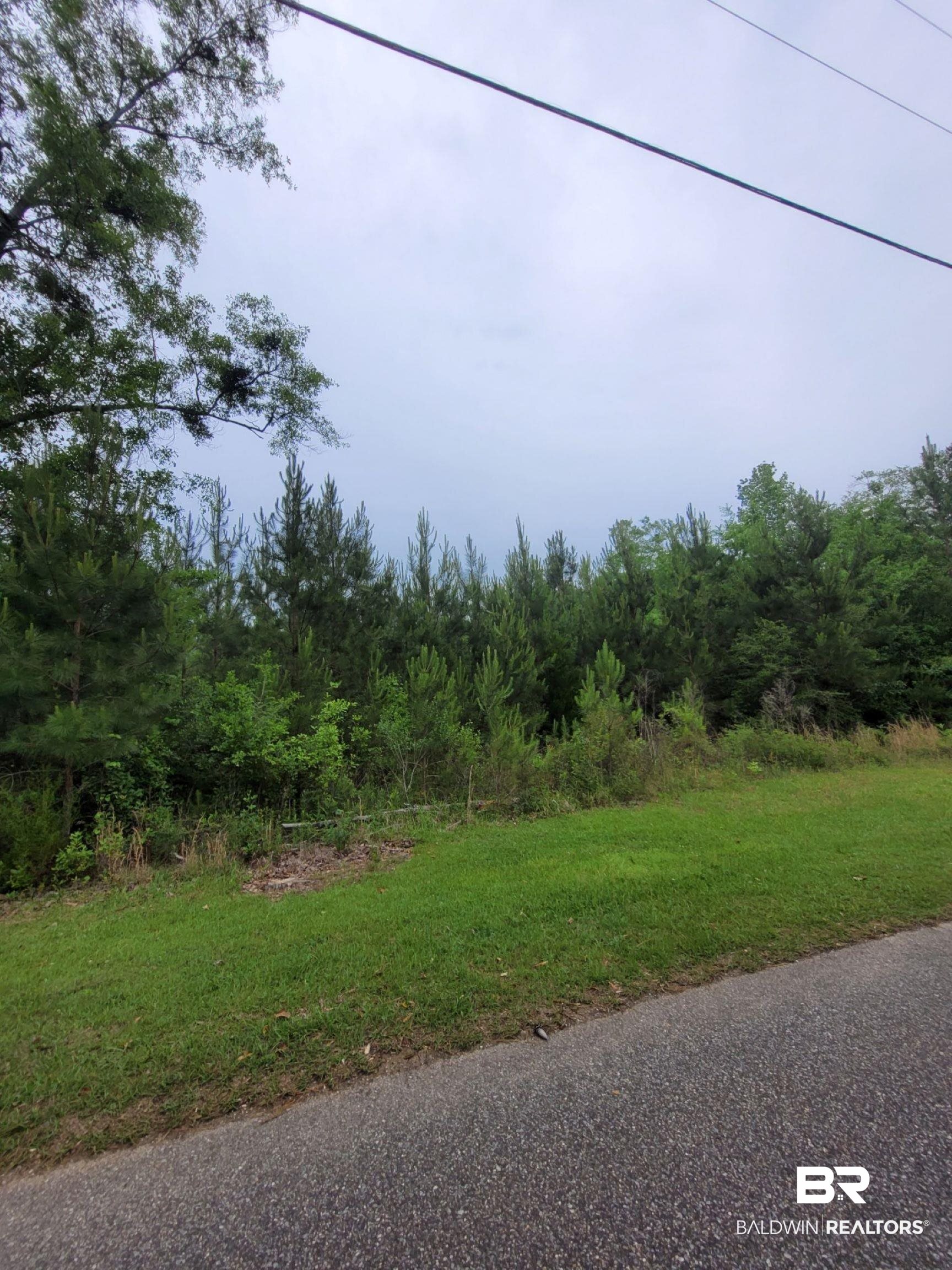 396388 | Photo 2