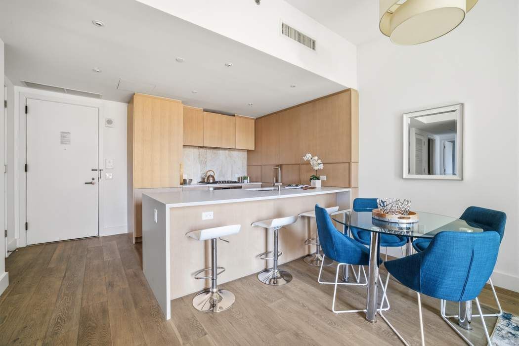 10 Nevins Street 9A Downtown Brooklyn NY 11217